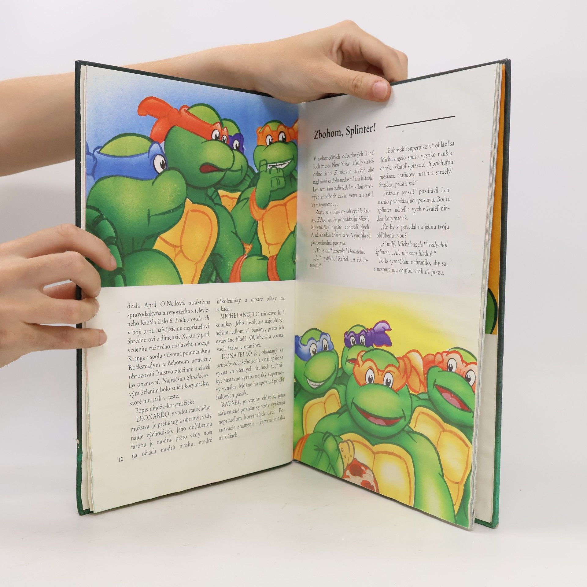 Maureen Spurgeon Turtles - Hrdinovia z podsvetia