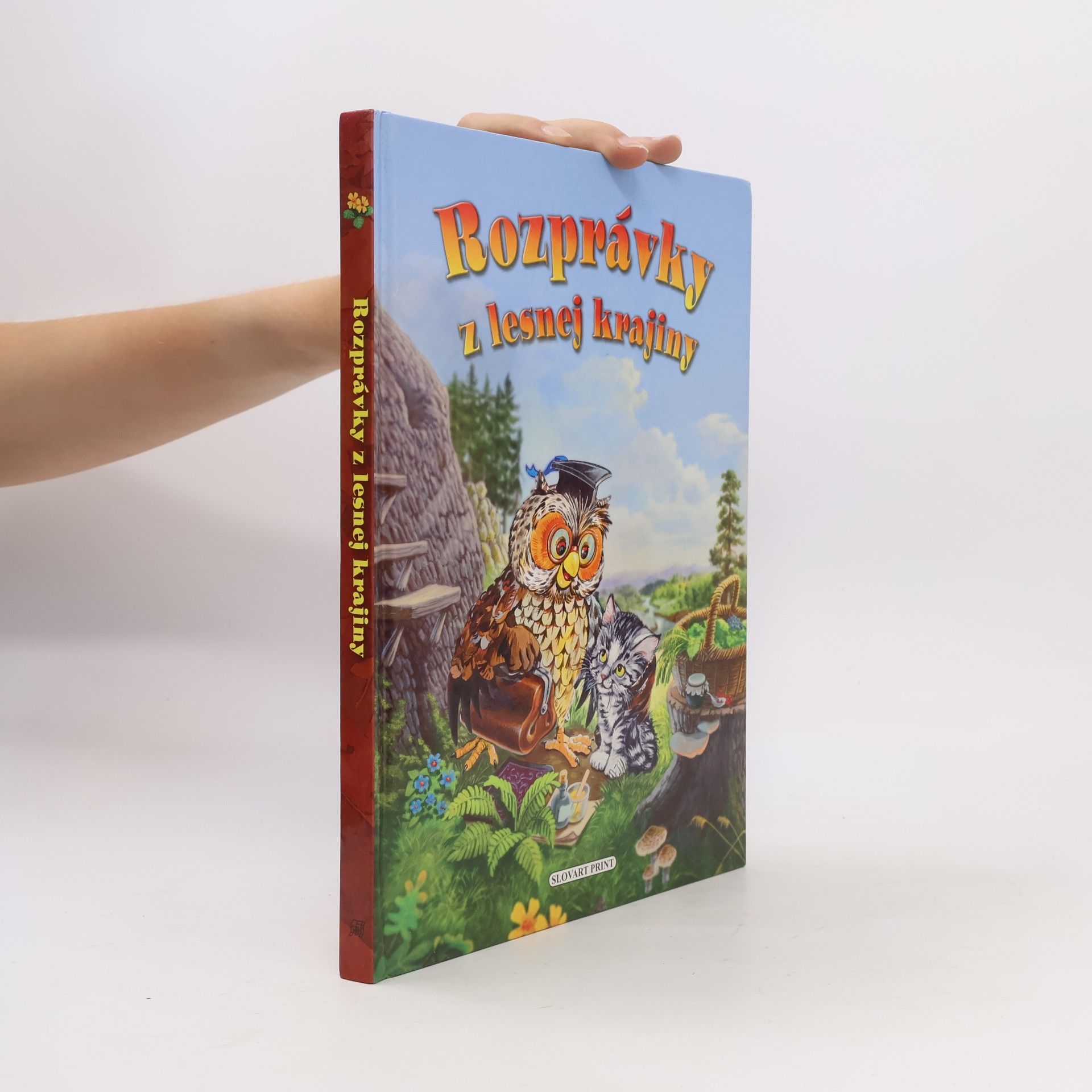 Autorenkollektiv Rozprávky z lesnej krajiny