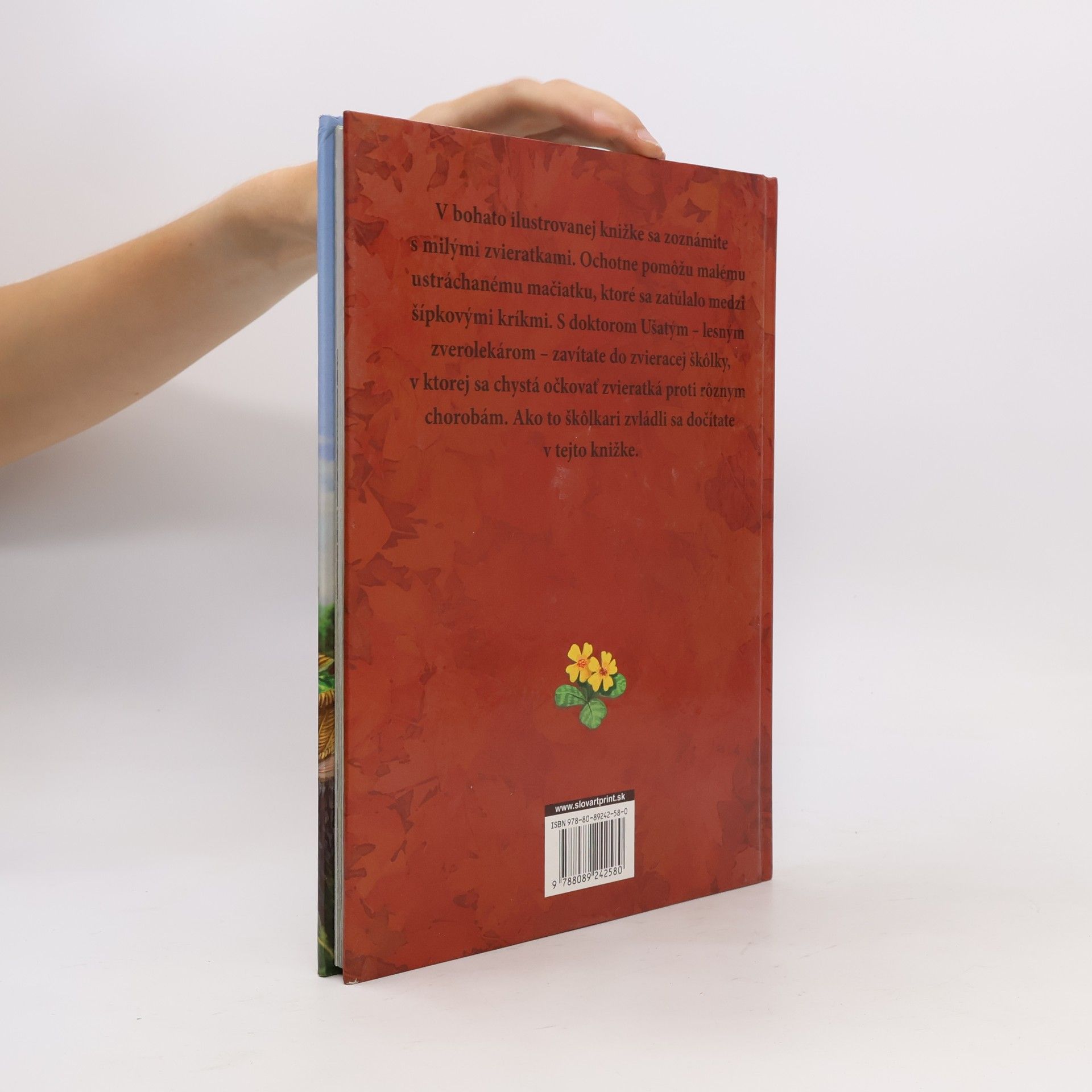 Autorenkollektiv Rozprávky z lesnej krajiny