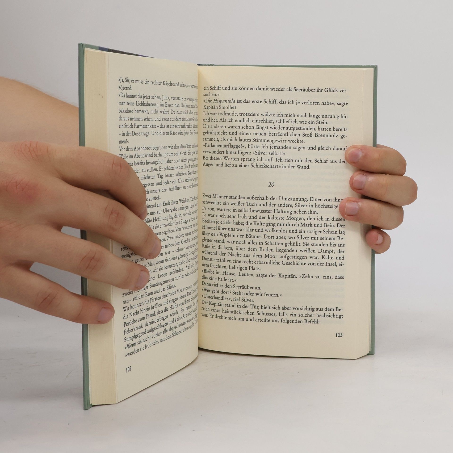 Robert Louis Stevenson Die Schatzinsel