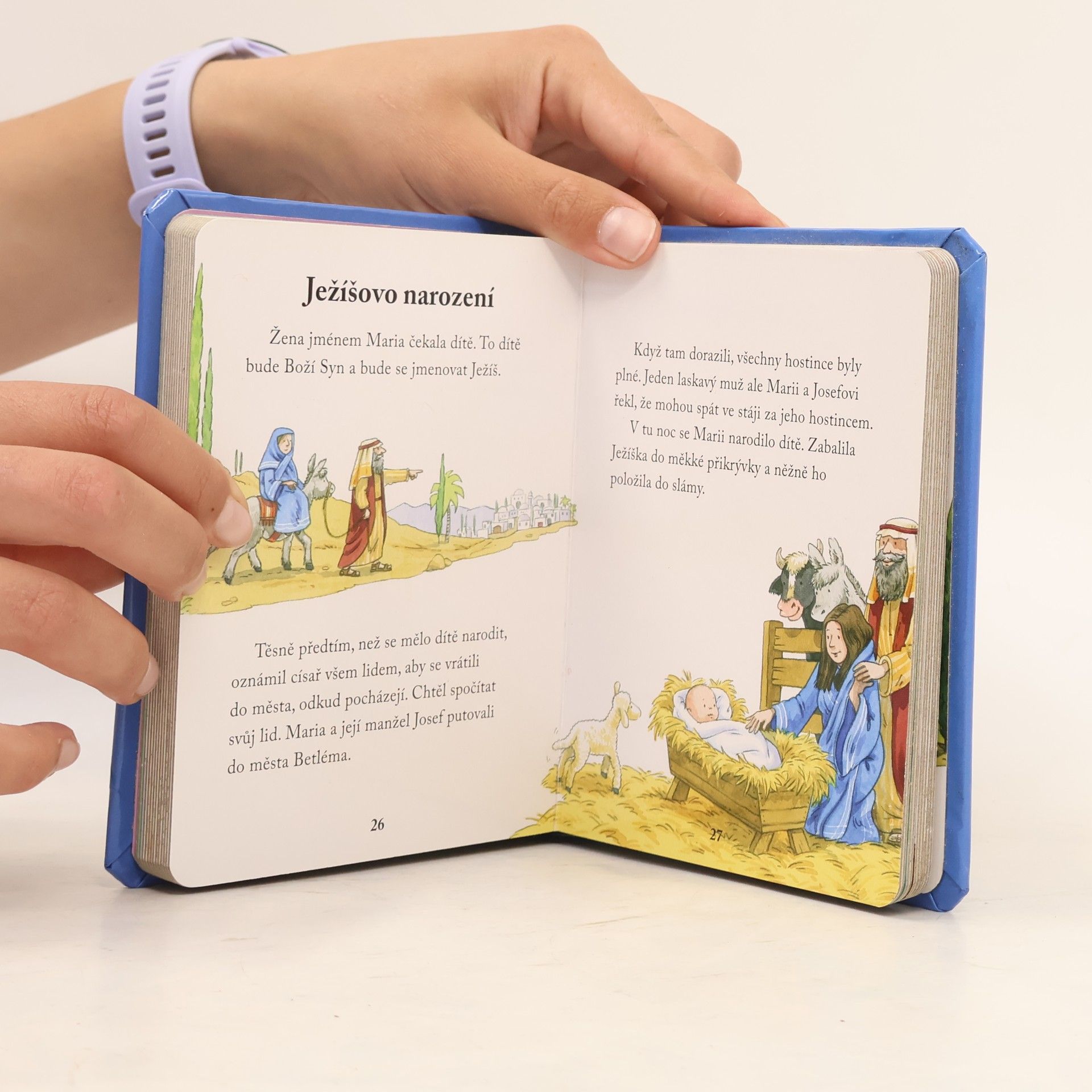 Kris Hirschmann Bible pro batolata: Starý a Nový zákon