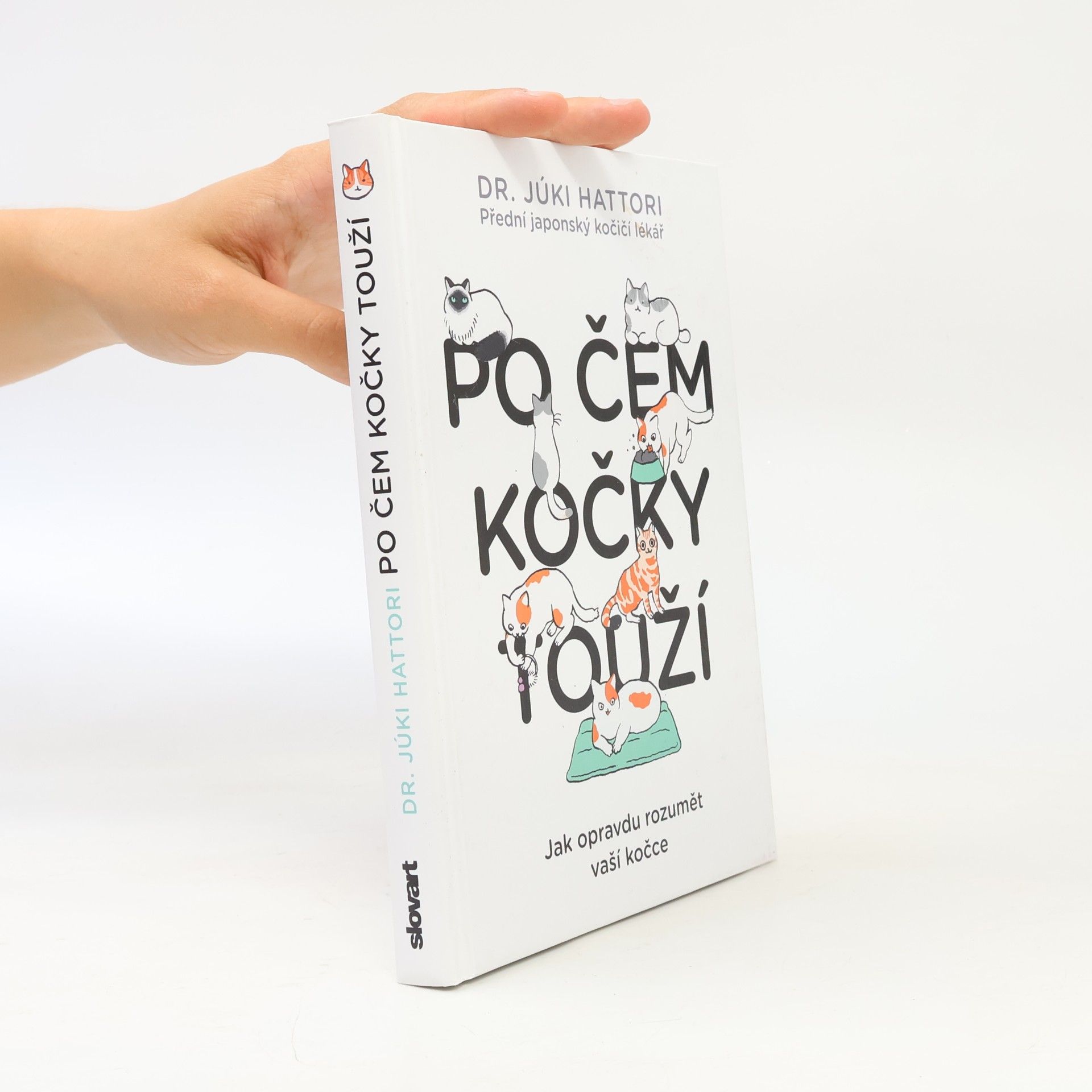 Júki Hattori Po čem kočky touží : jak opravdu rozumět vaší kočce