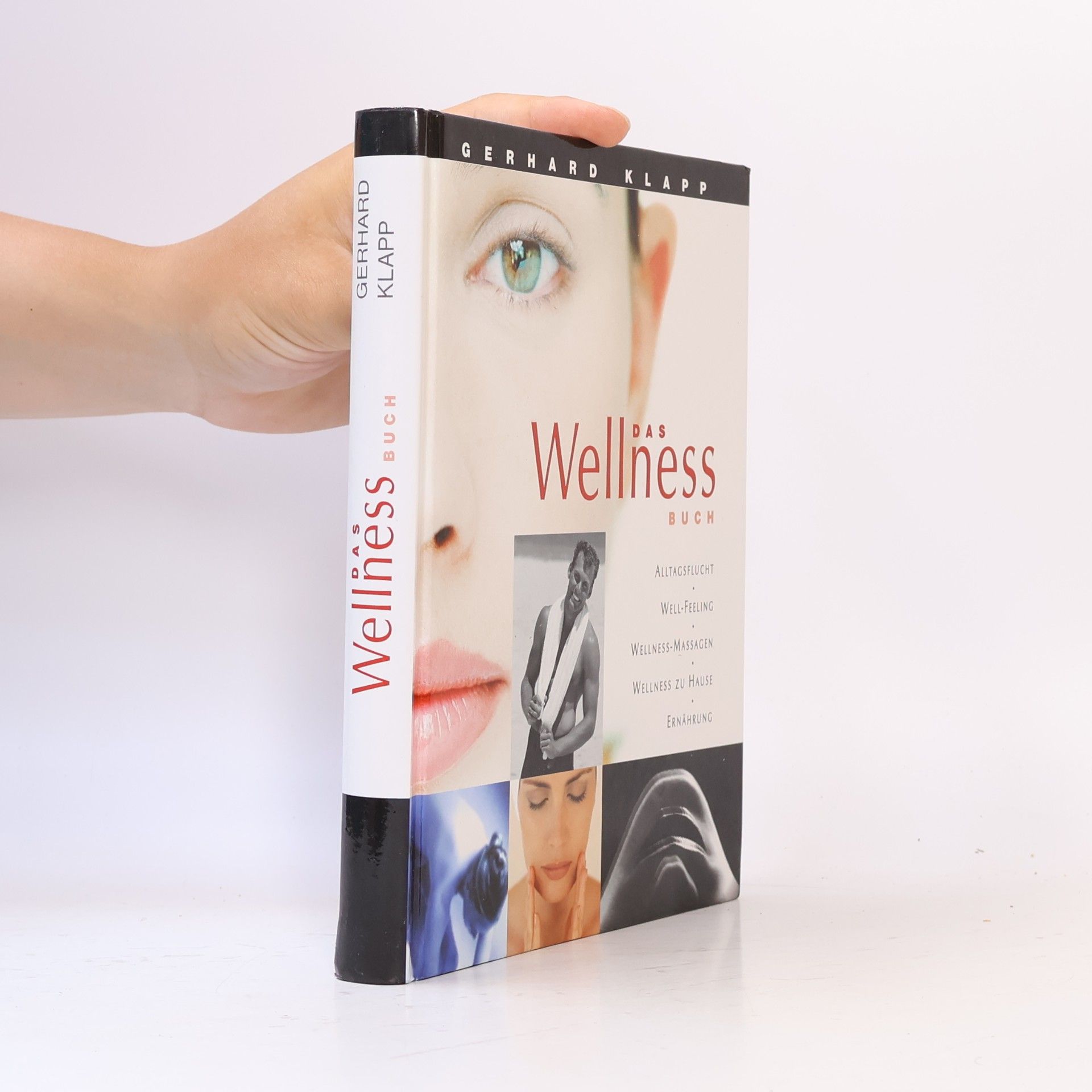 Gerhard Klapp Das Wellness-Buch