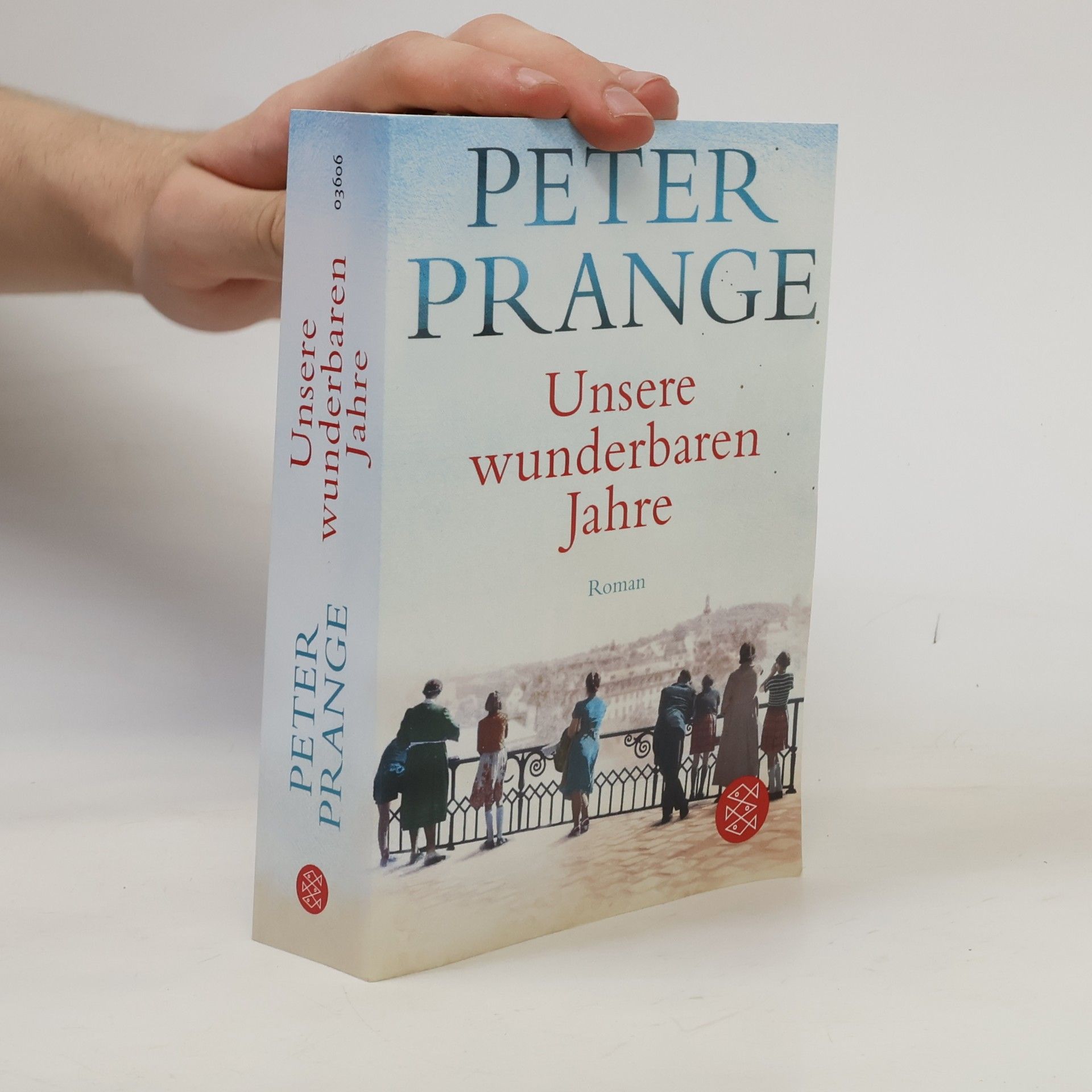 Peter Prange Unsere wunderbaren Jahre
