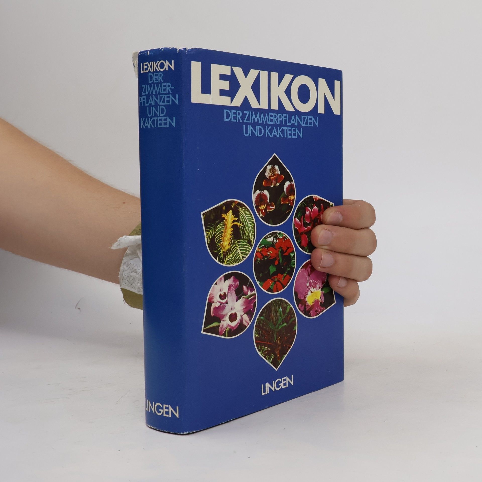 Collectif d'auteurs Lexikon der Zimmerpflanzen Und Kakteen