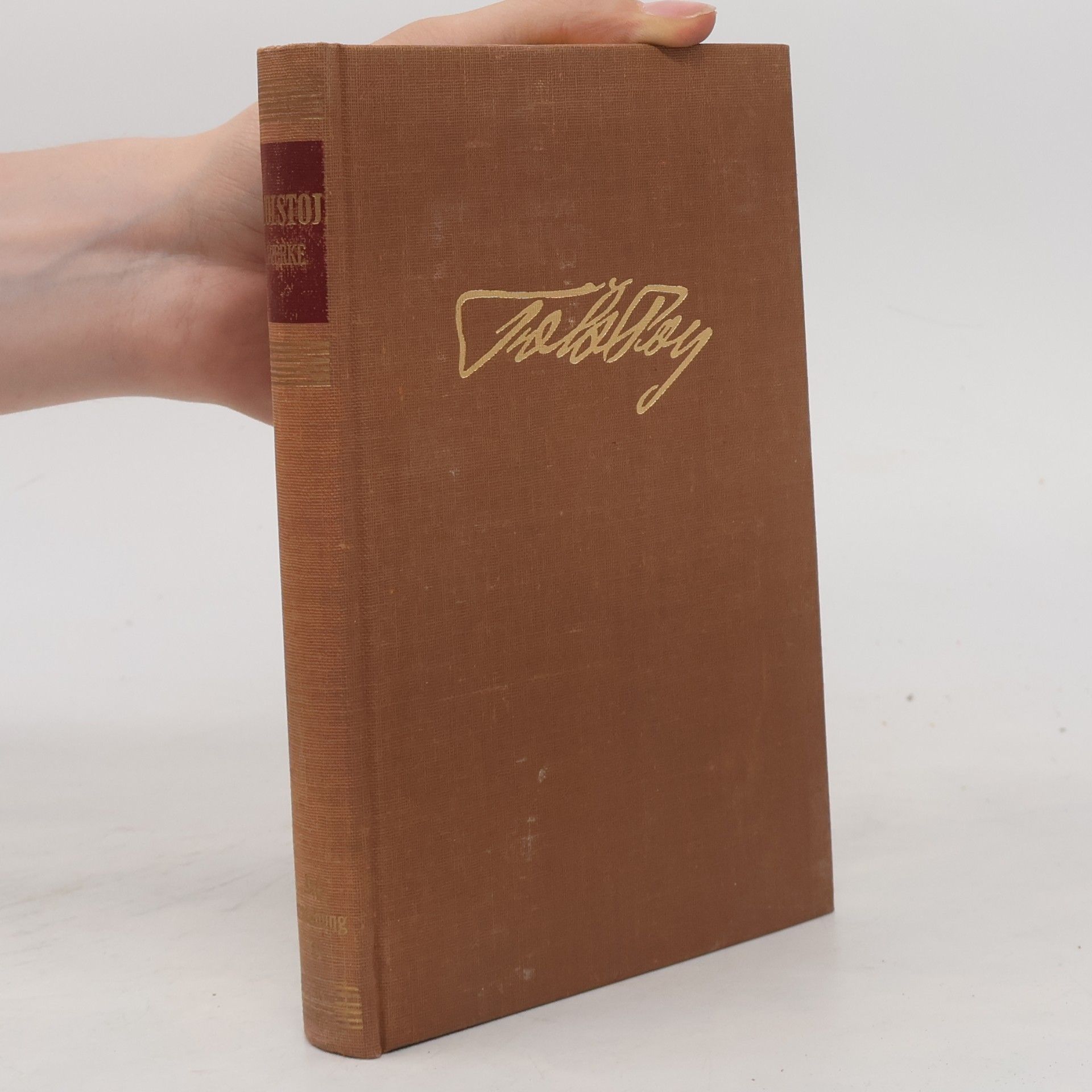 Lew Nikolajewitsch Tolstoi Auferstehung