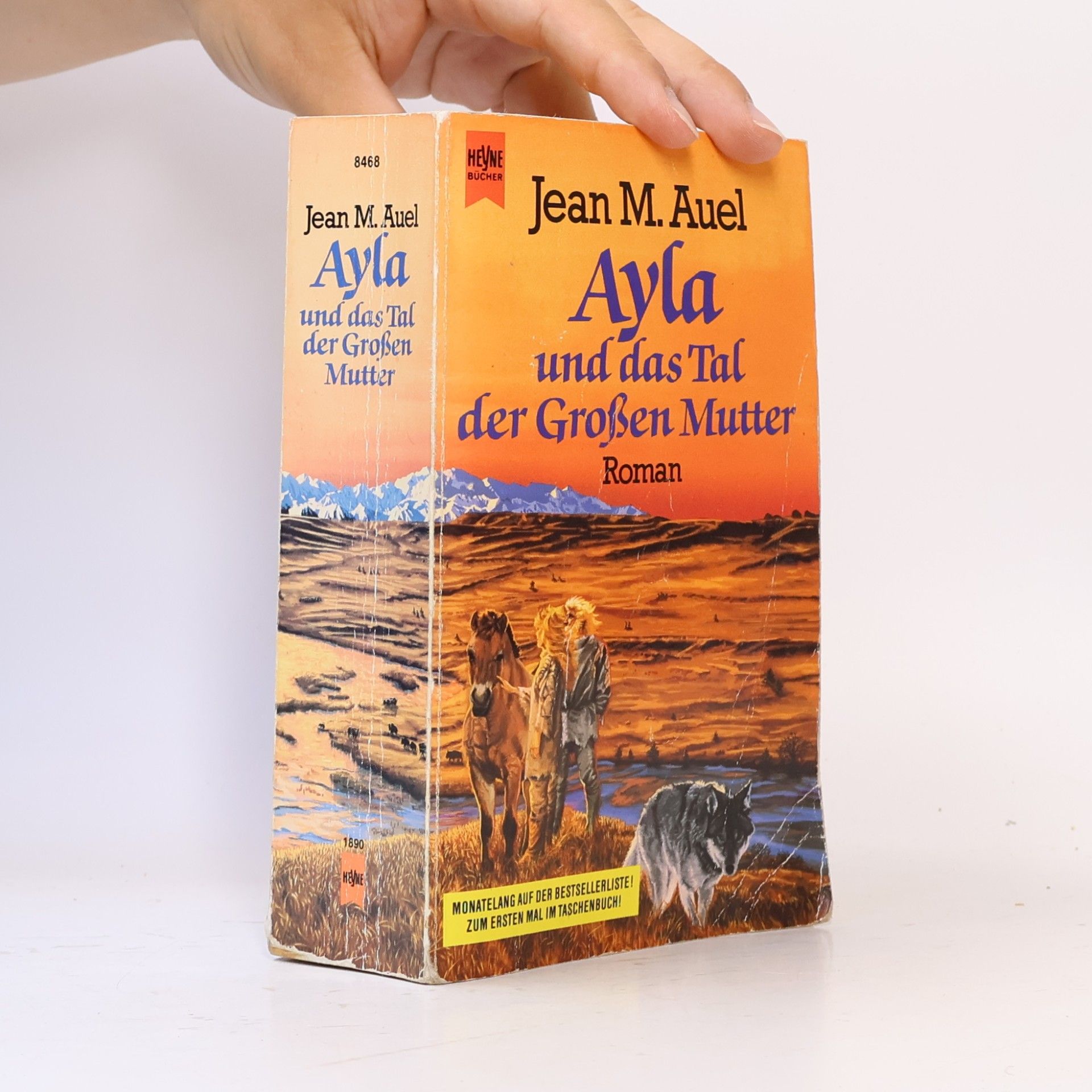 Jean M. Auelová Ayla und das Tal der grossen Mutter