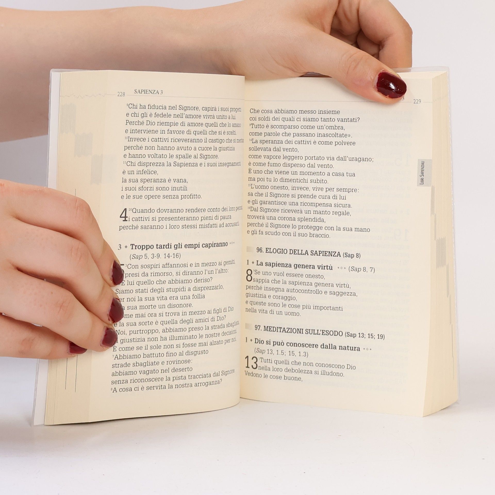 Collectif d'auteurs La Bibbia