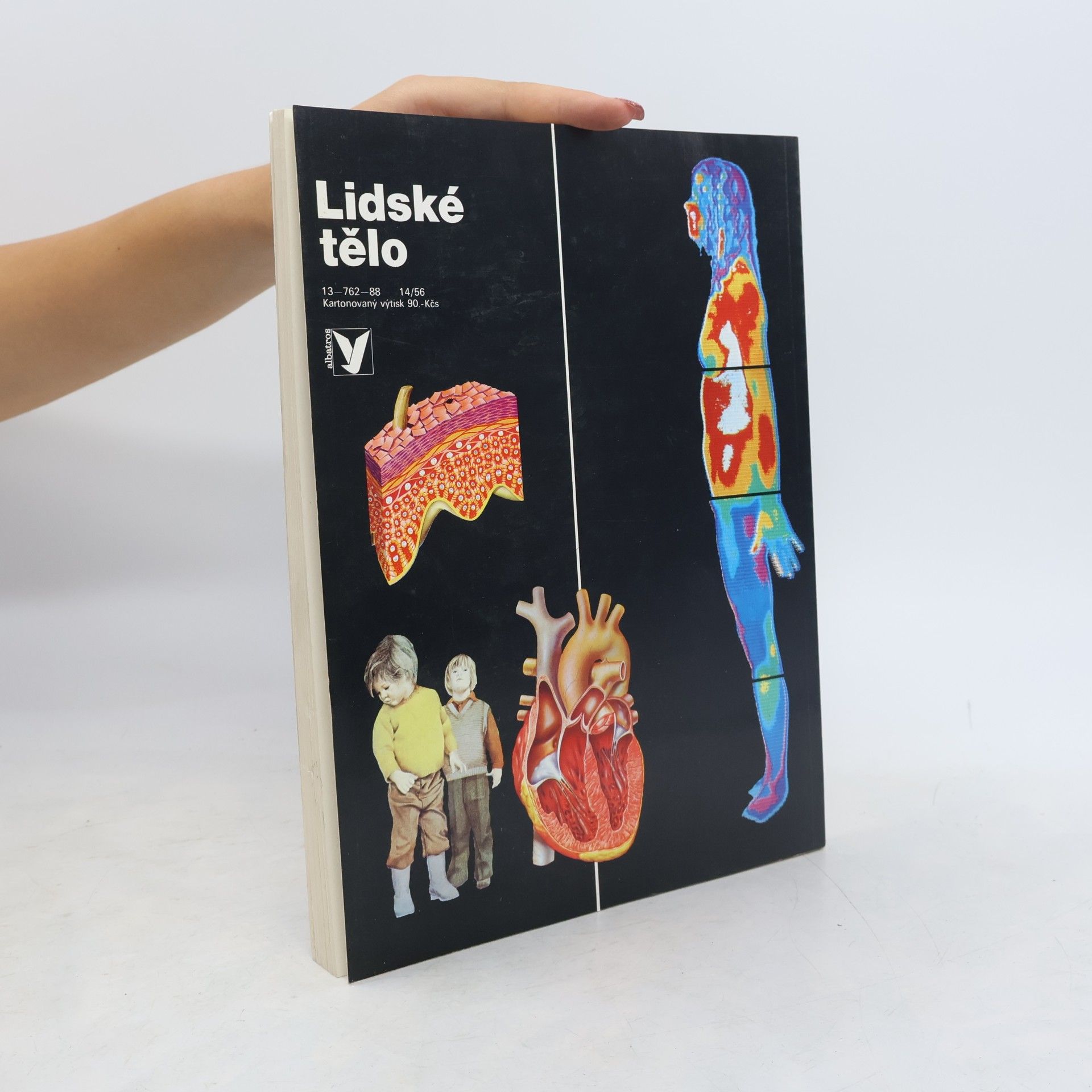 Autorenkollektiv Lidské tělo