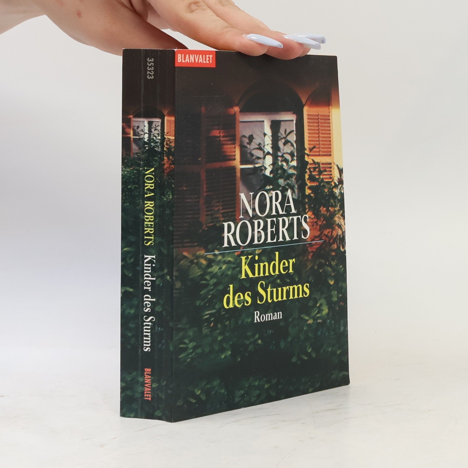 Nora Roberts Kinder des Sturms