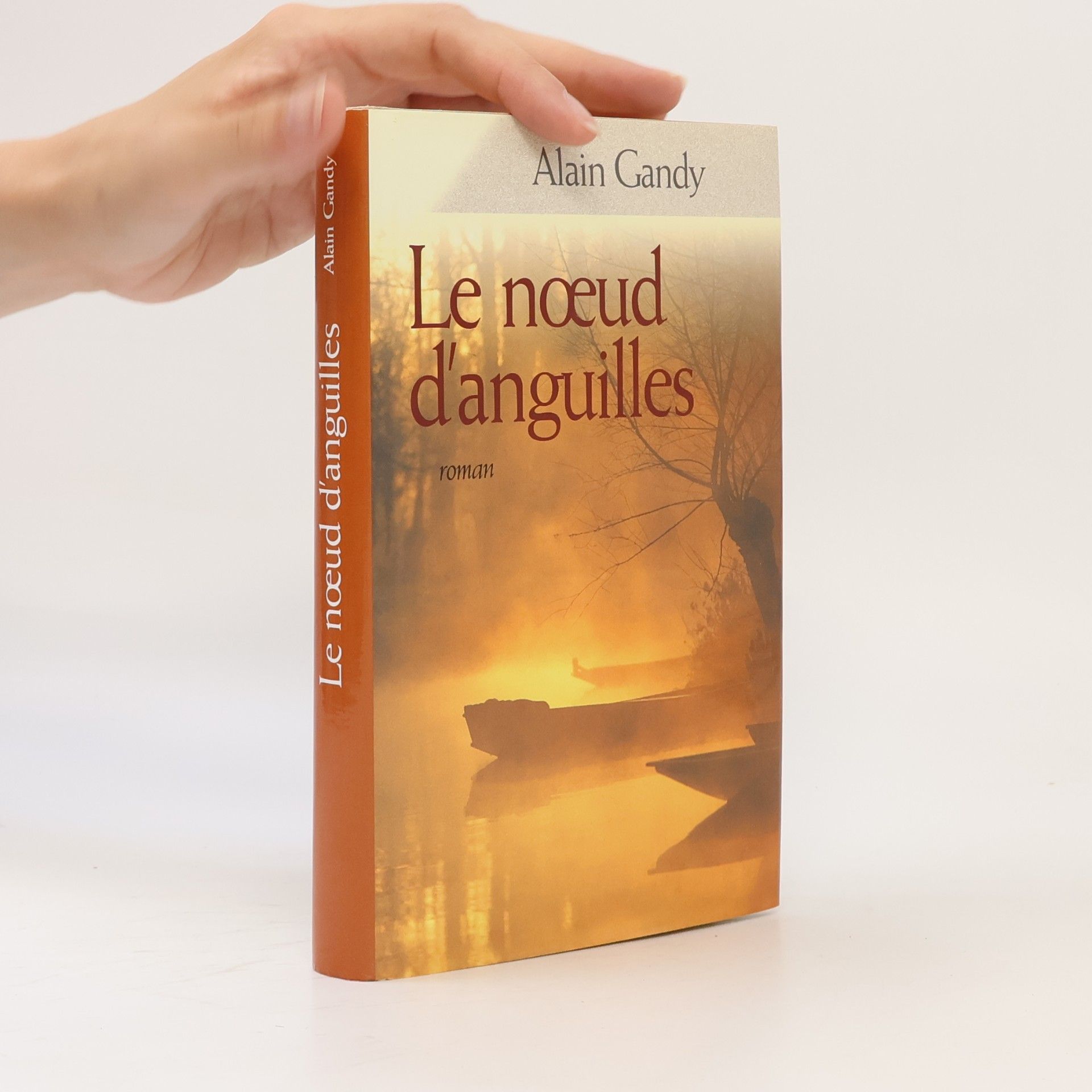 Alain Gandy Le noeud d'anguilles