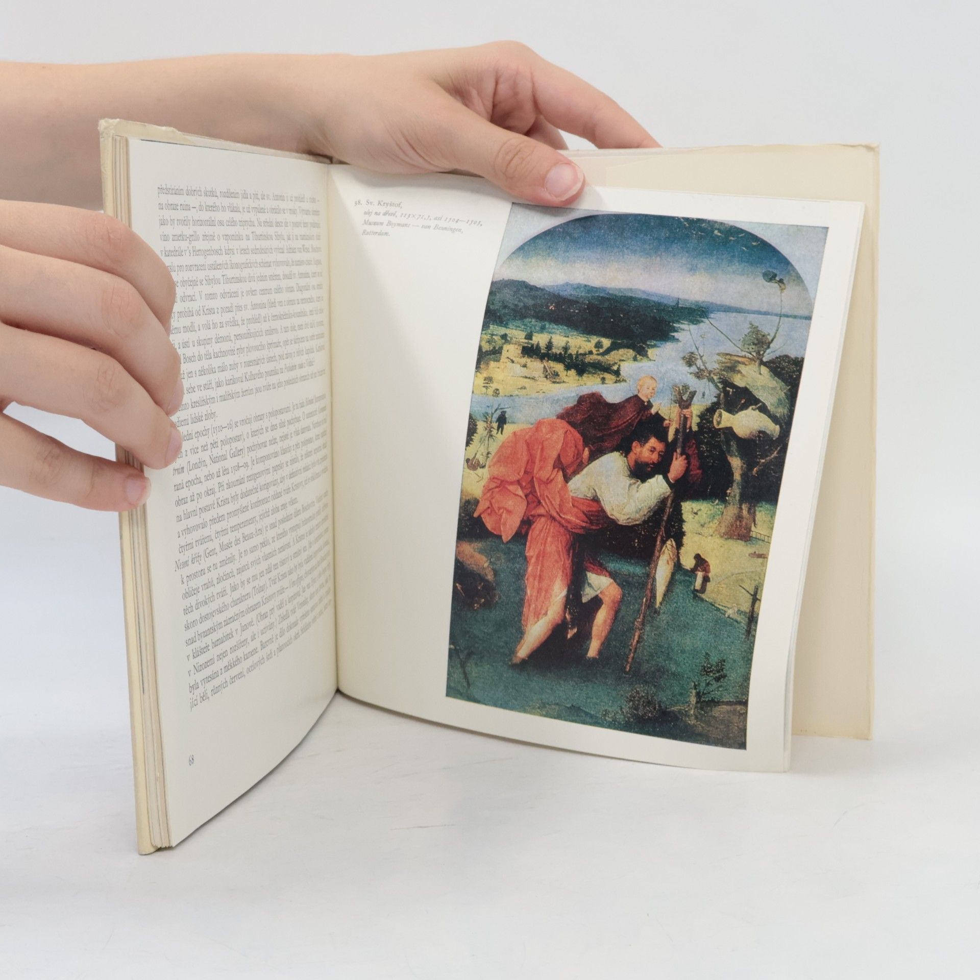 Hana Volavková Hieronymus Bosch