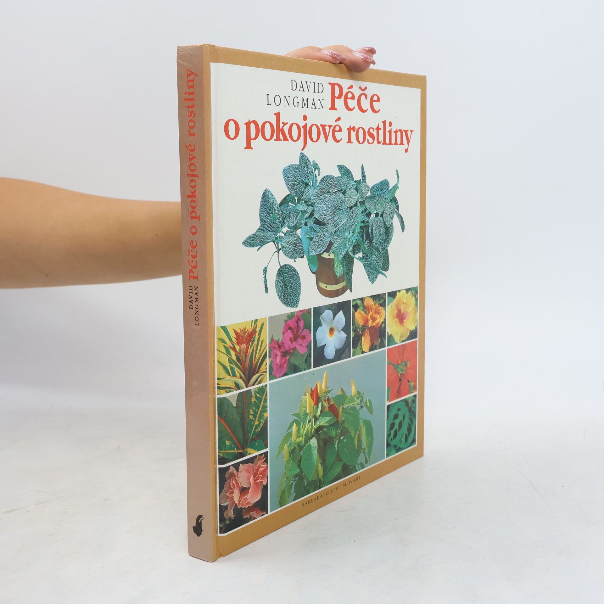 David Longman Péče o pokojové rostliny