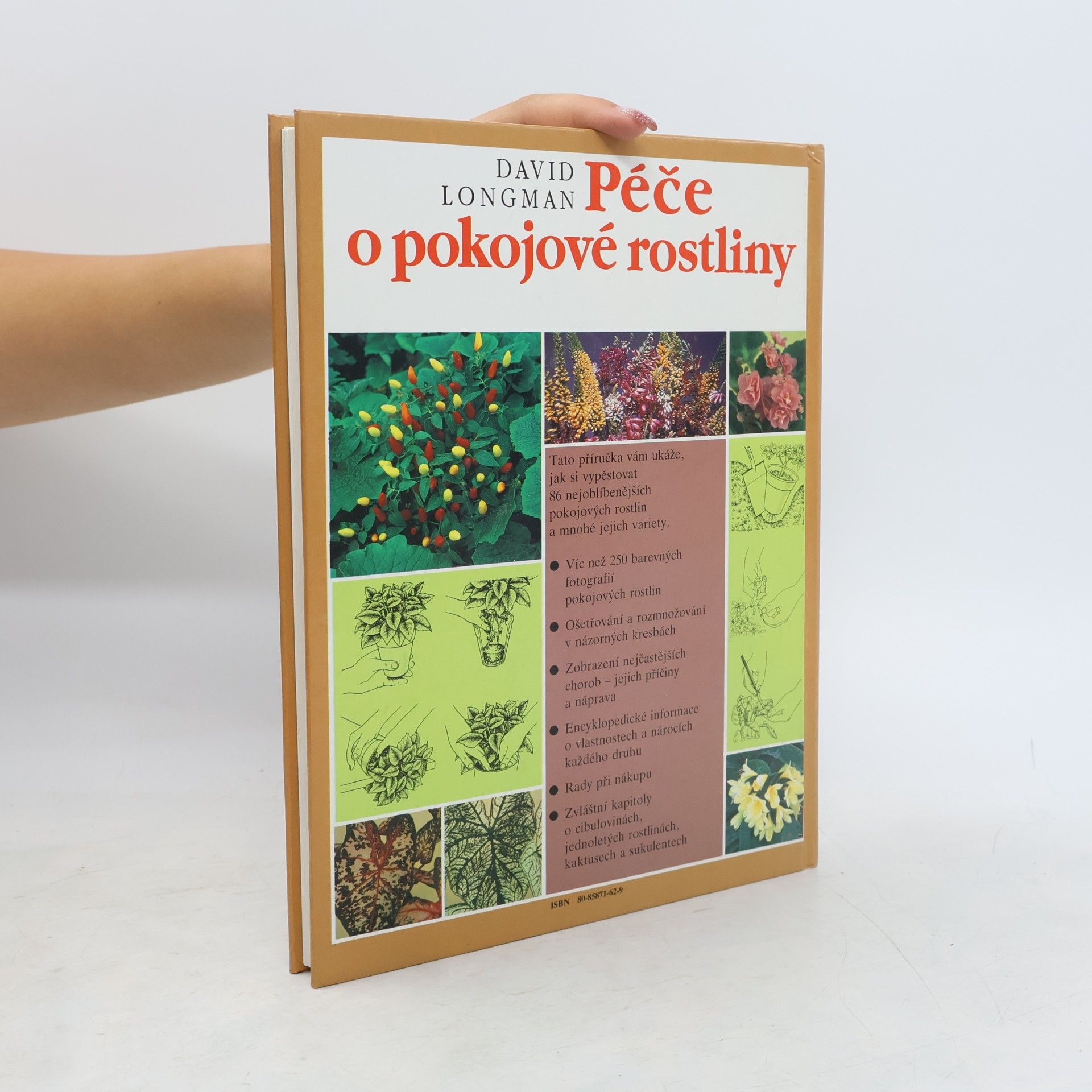 David Longman Péče o pokojové rostliny