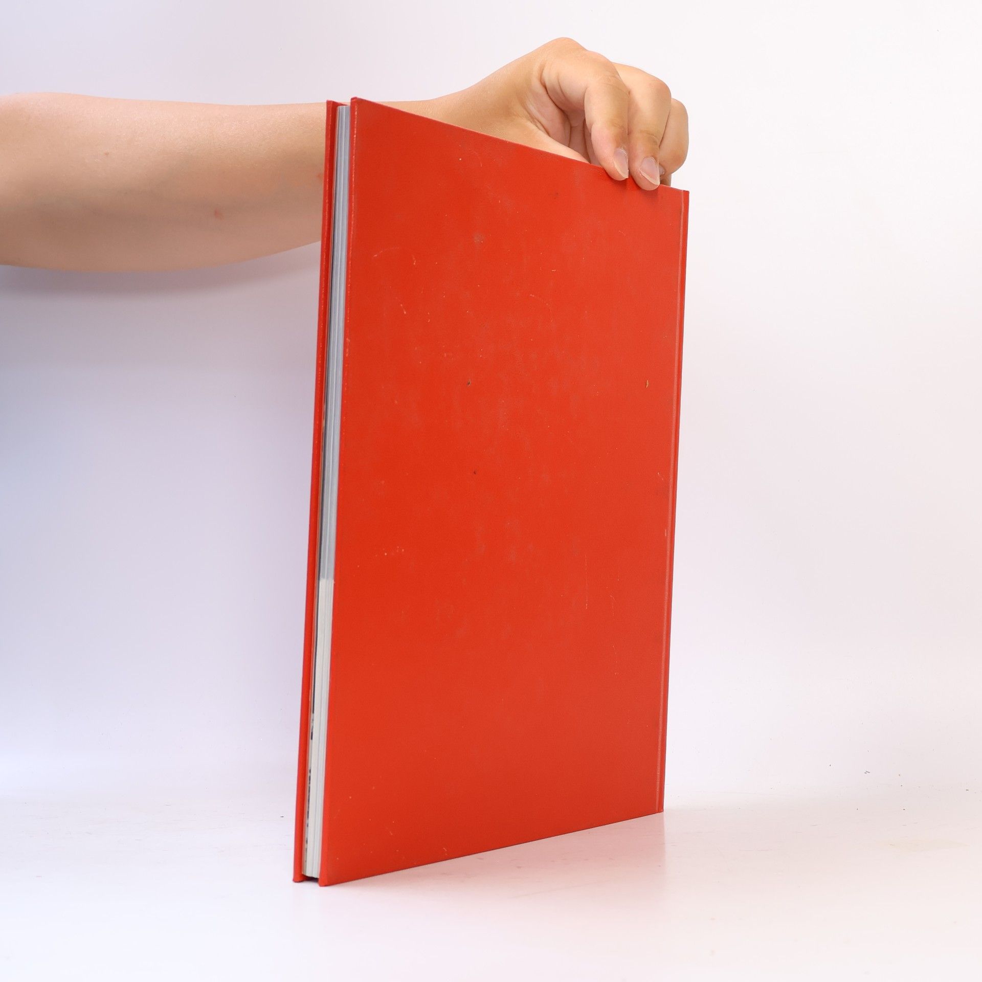 Various authors Die Zwei aus Schwarzach