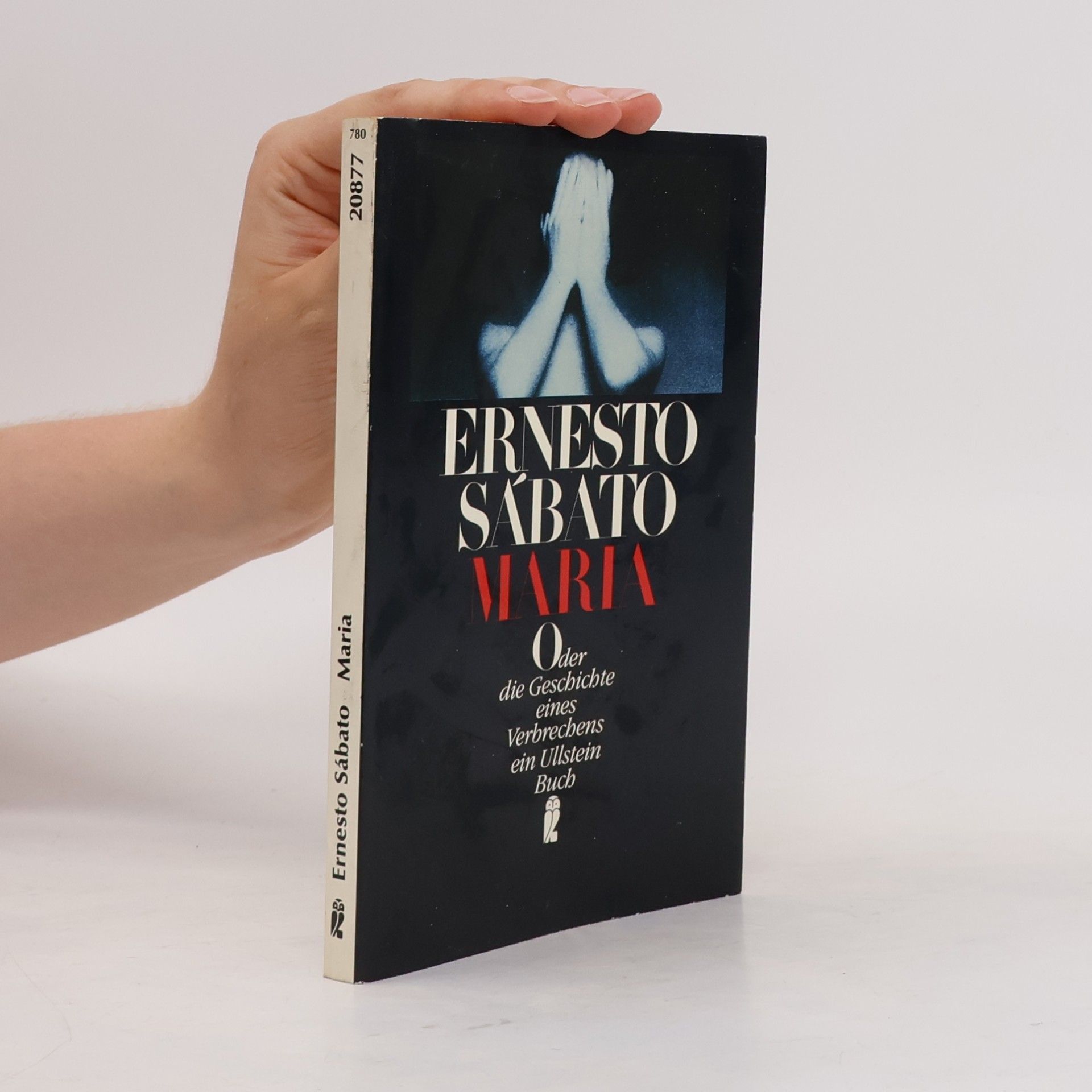 Ernesto Sábato Maria oder die Geschichte eines Verbrechens