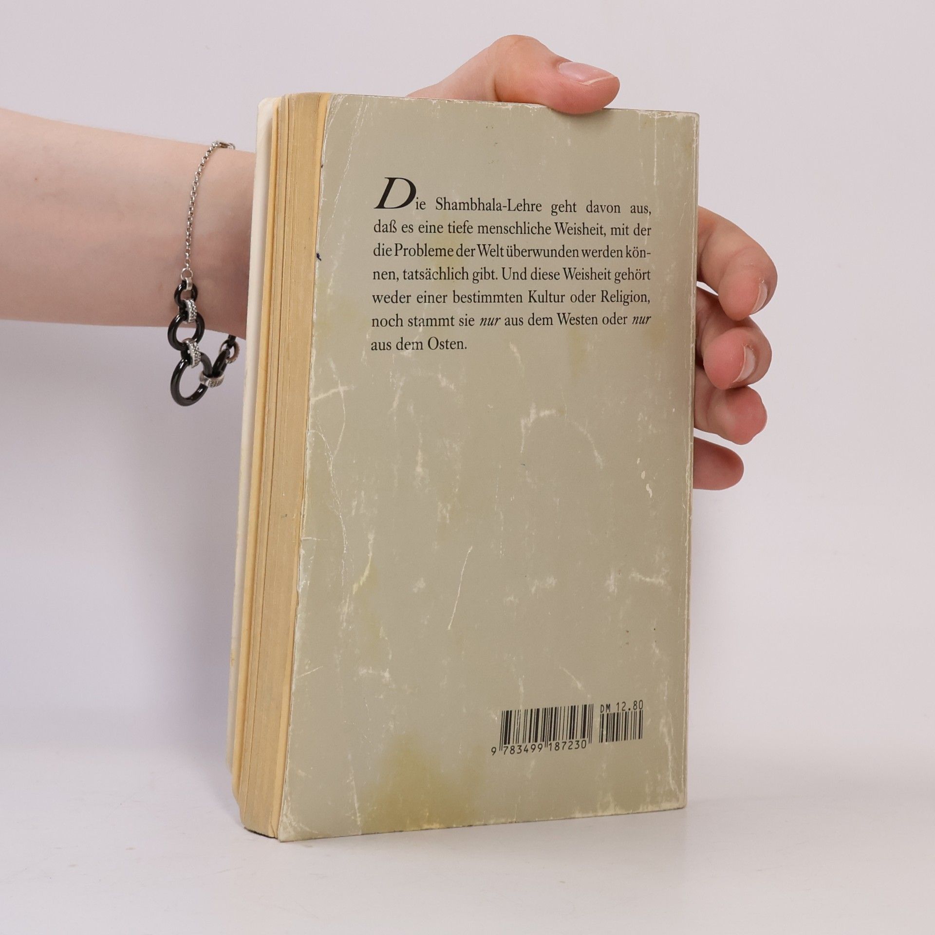 Čhögjam Trungpa Das Buch vom meditativen Leben
