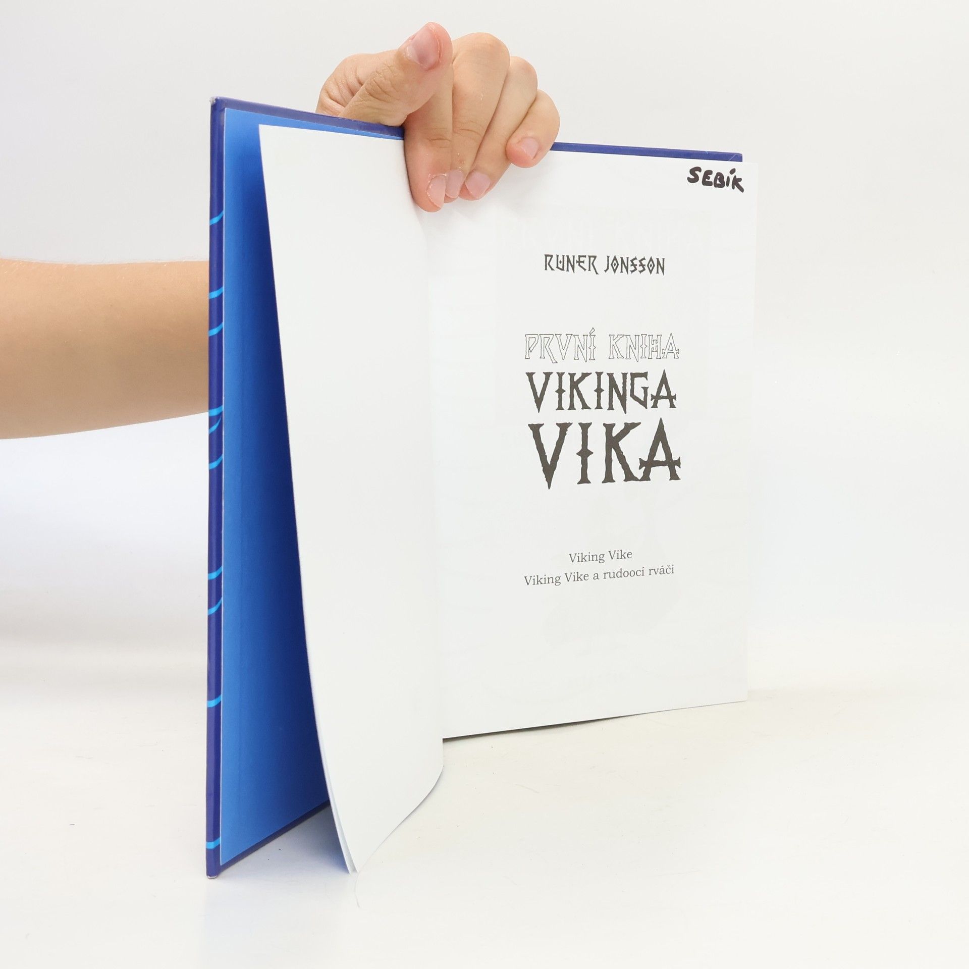 Runer Jonsson První kniha Vikinga Vika