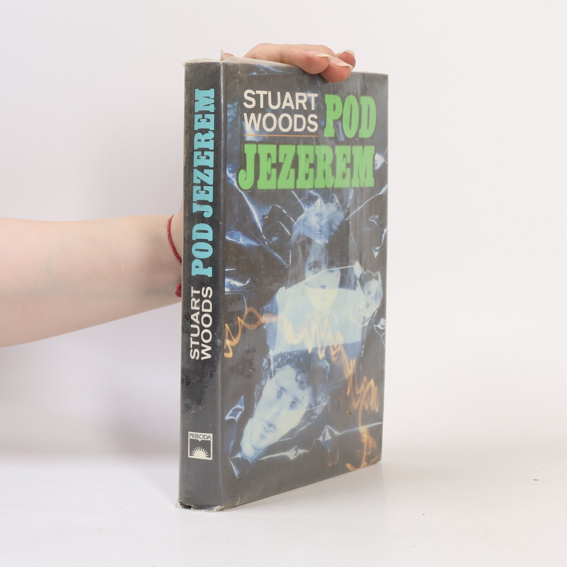 Stuart Woods Pod jezerem