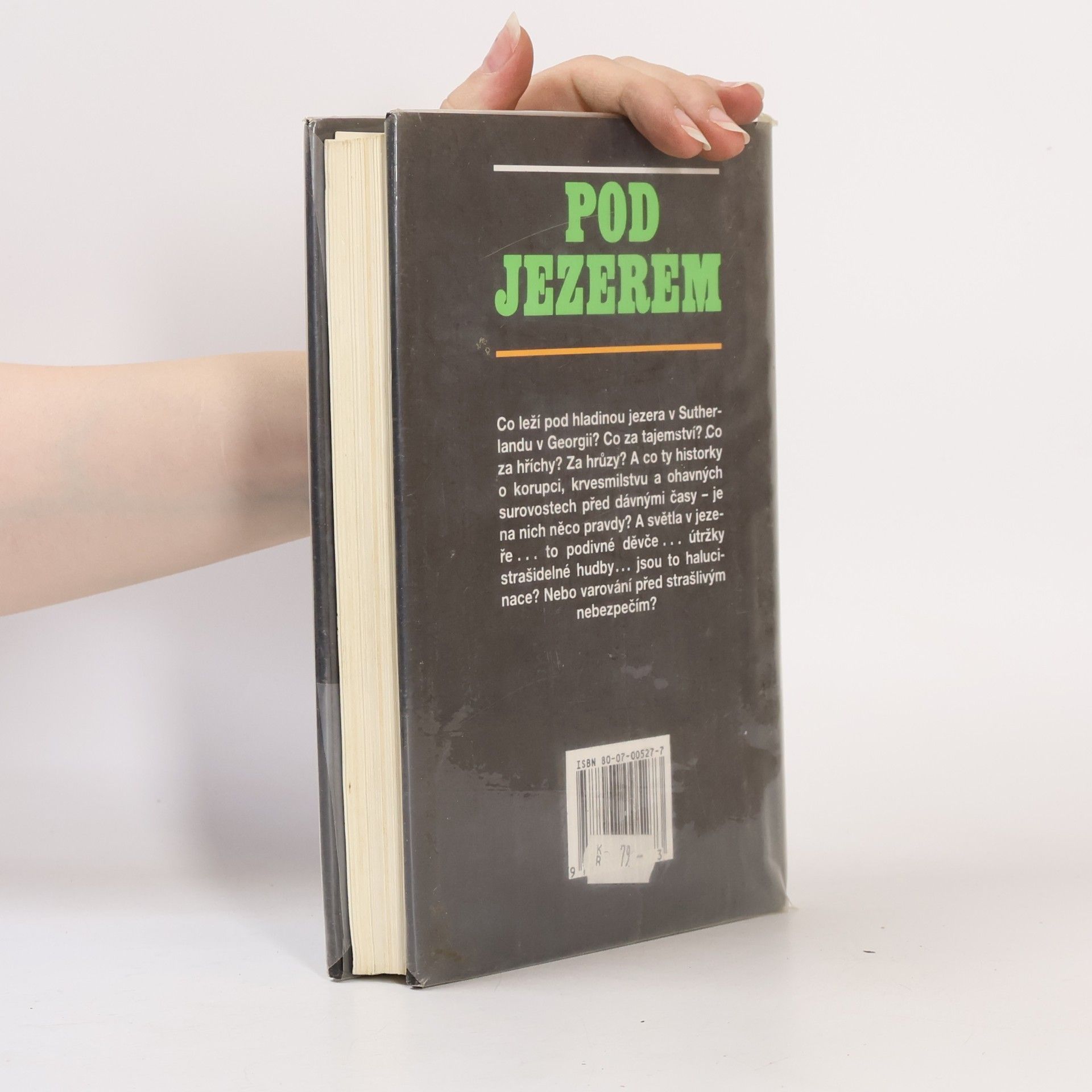 Stuart Woods Pod jezerem