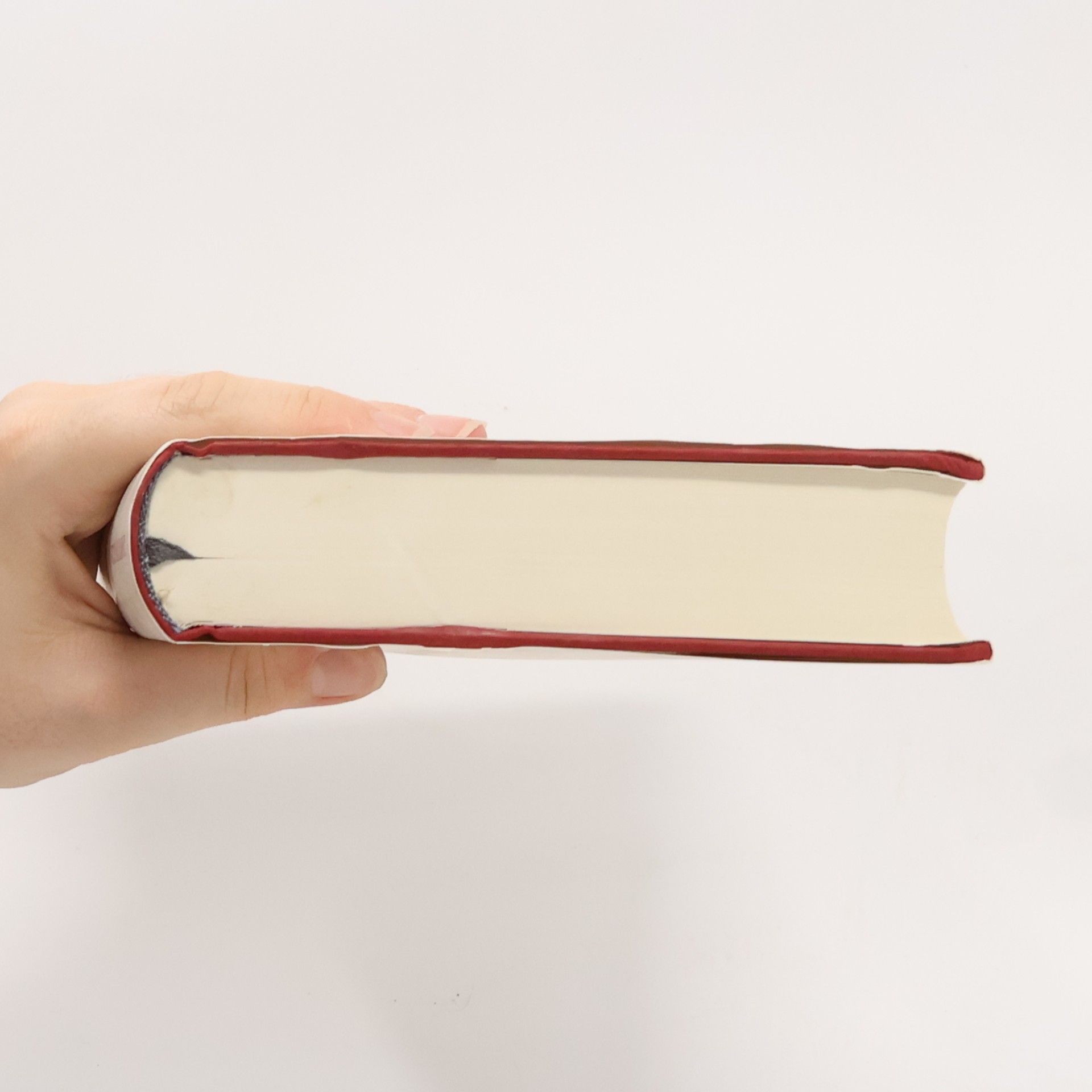 Kazuo Ishiguro Alles, was wir geben mussten