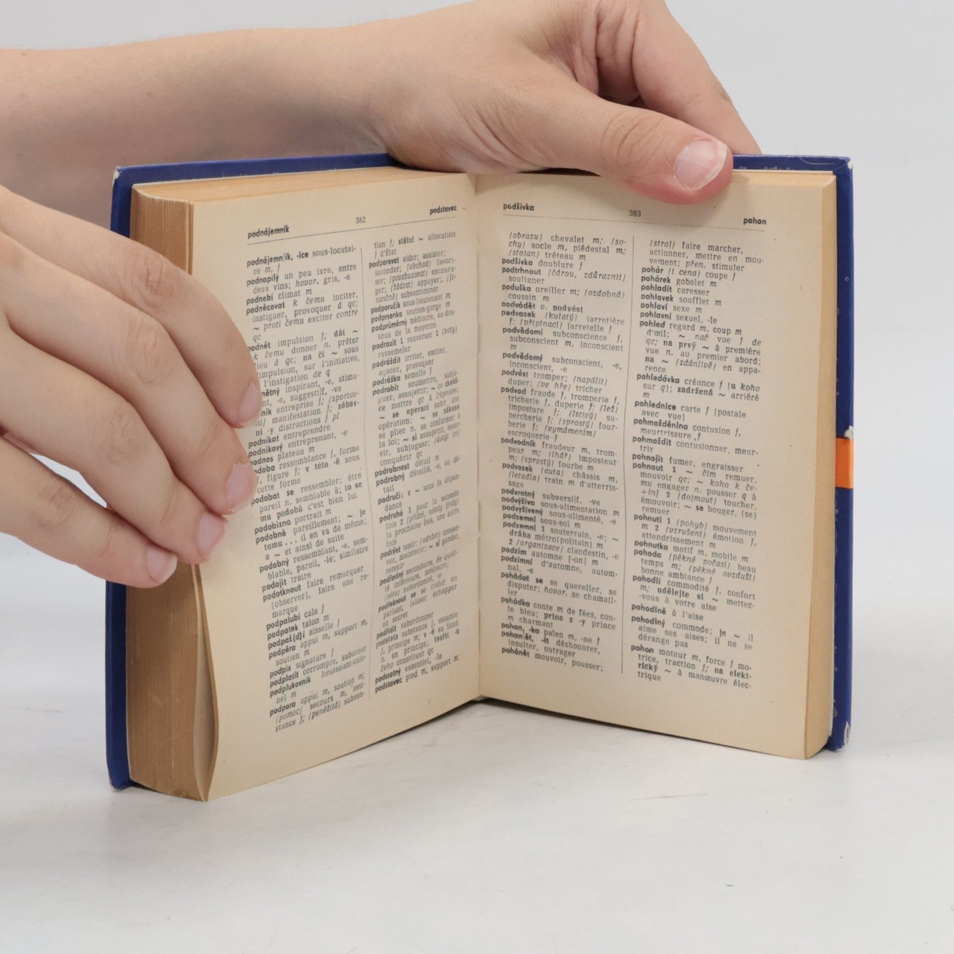Autorenkollektiv Francouzsko-český, česko-francouzský kapesní slovník
