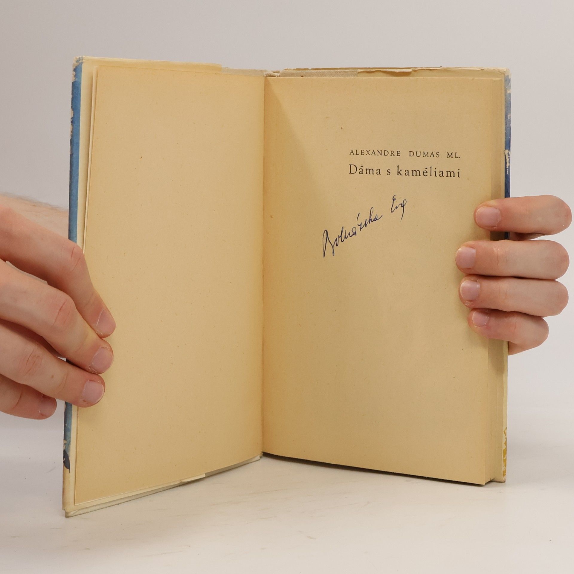 Alexandre Dumas der Jüngere Dáma s kaméliami
