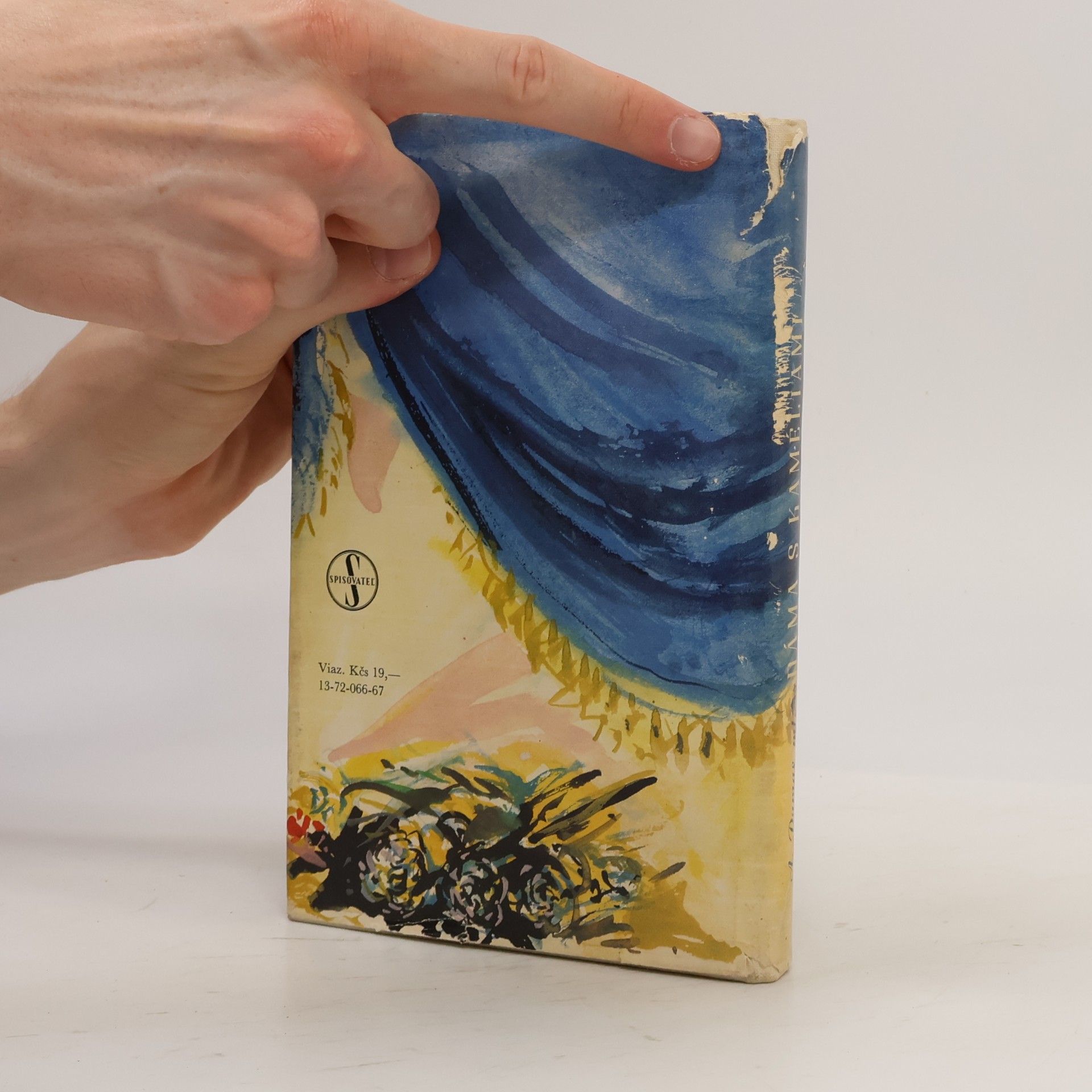 Alexandre Dumas der Jüngere Dáma s kaméliami