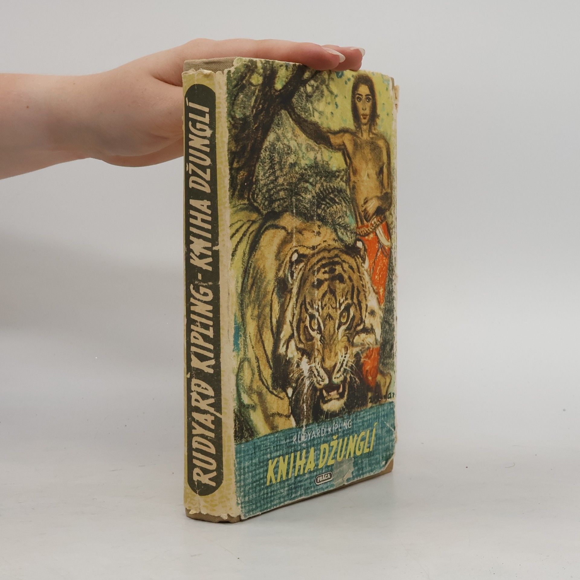 Rudyard Kipling Kniha džunglí