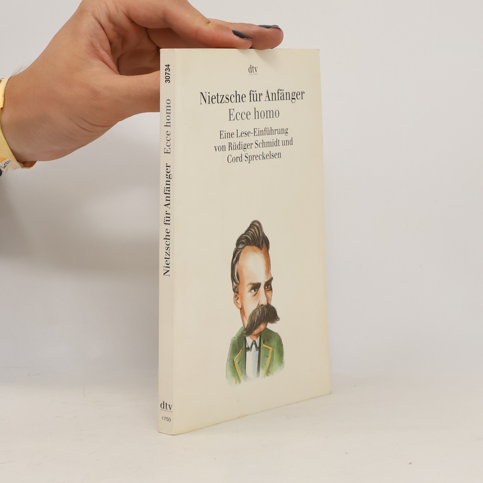 Wolf-Rüdiger Schmidt Nietzsche für Anfänger