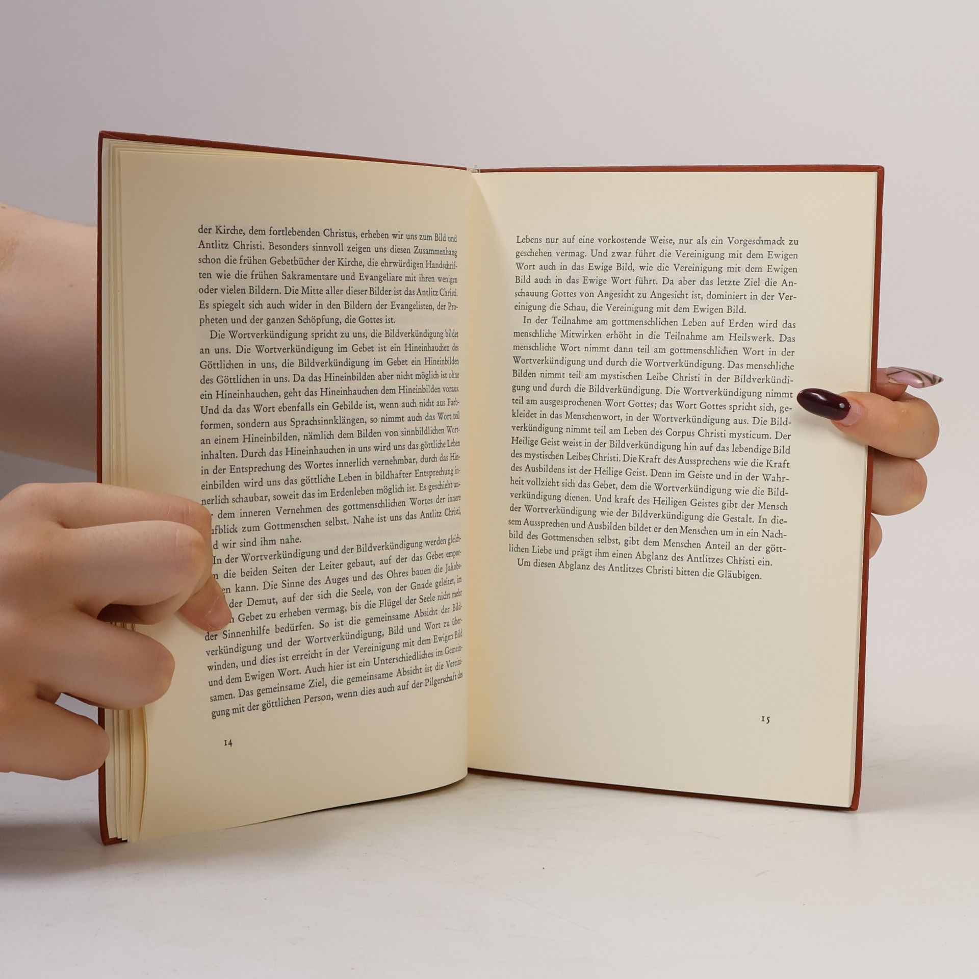 Autorenkollektiv Das Antlitz Christi