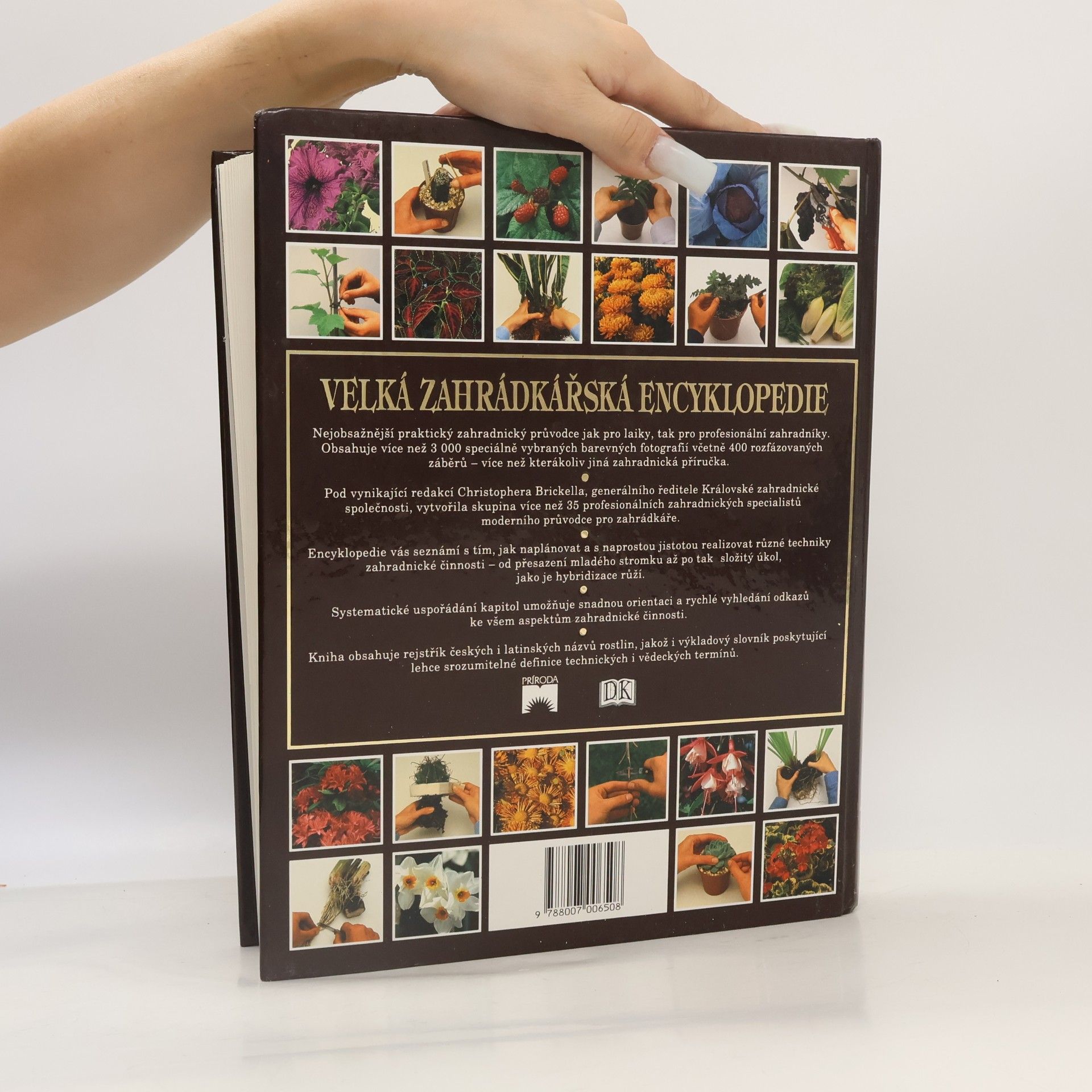Autorenkollektiv Velká zahrádkářská encyklopedie