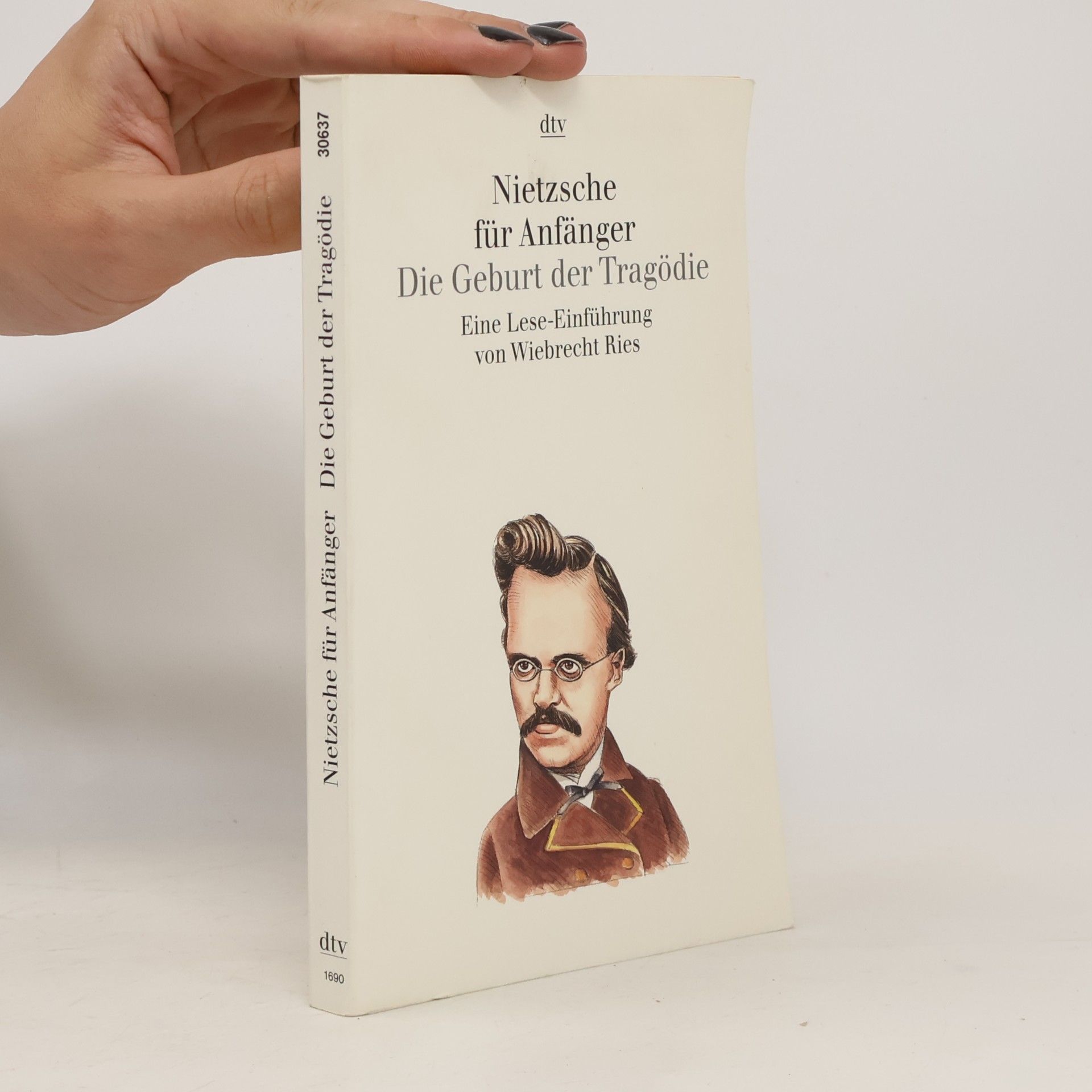 Wiebrecht Ries Nietzsche für Anfänger