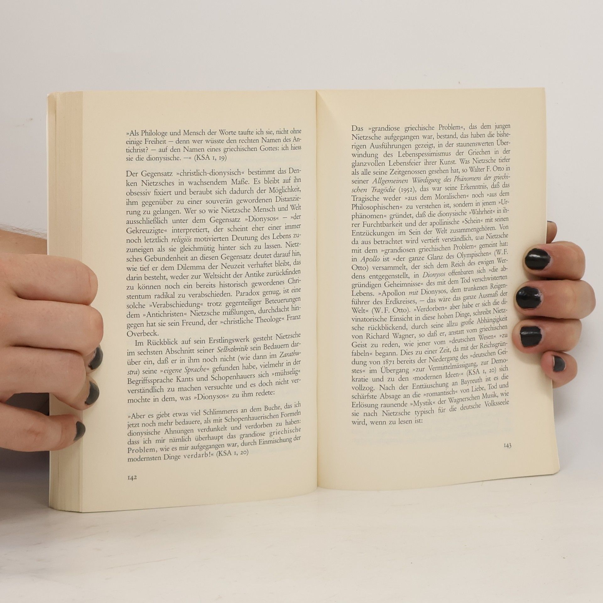 Wiebrecht Ries Nietzsche für Anfänger