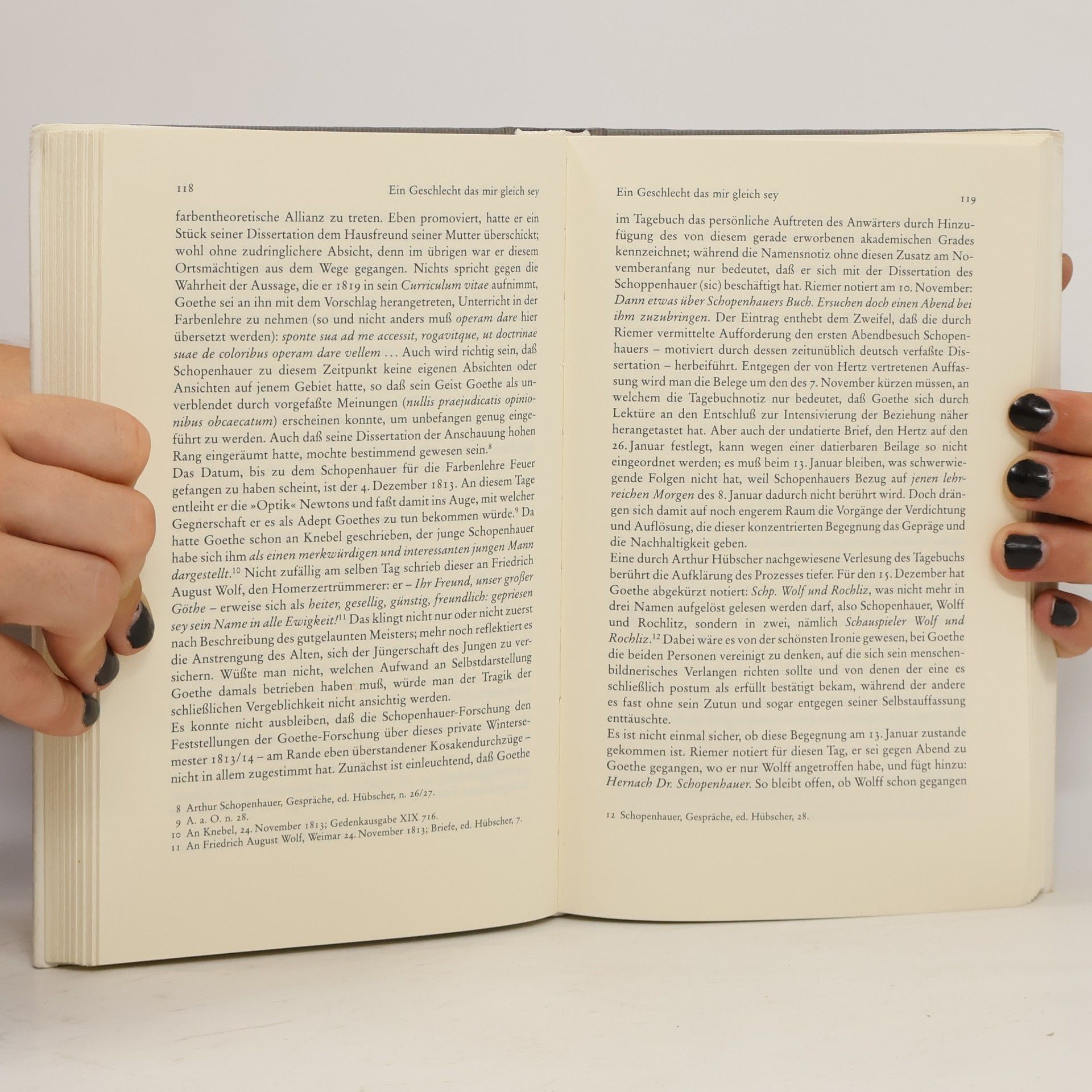 Hans Blumenberg Goethe zum Beispiel