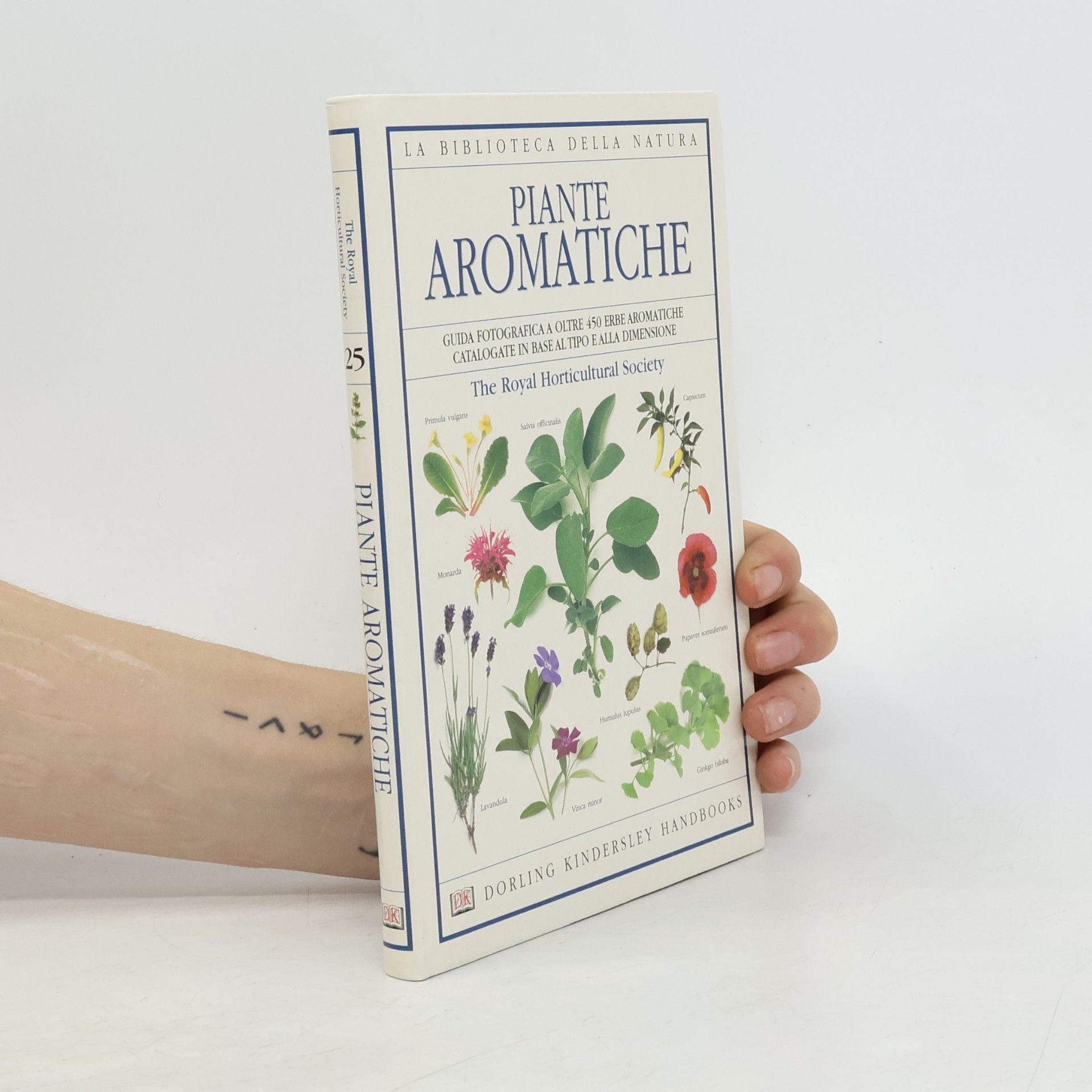 Deni Bown Piante aromatiche