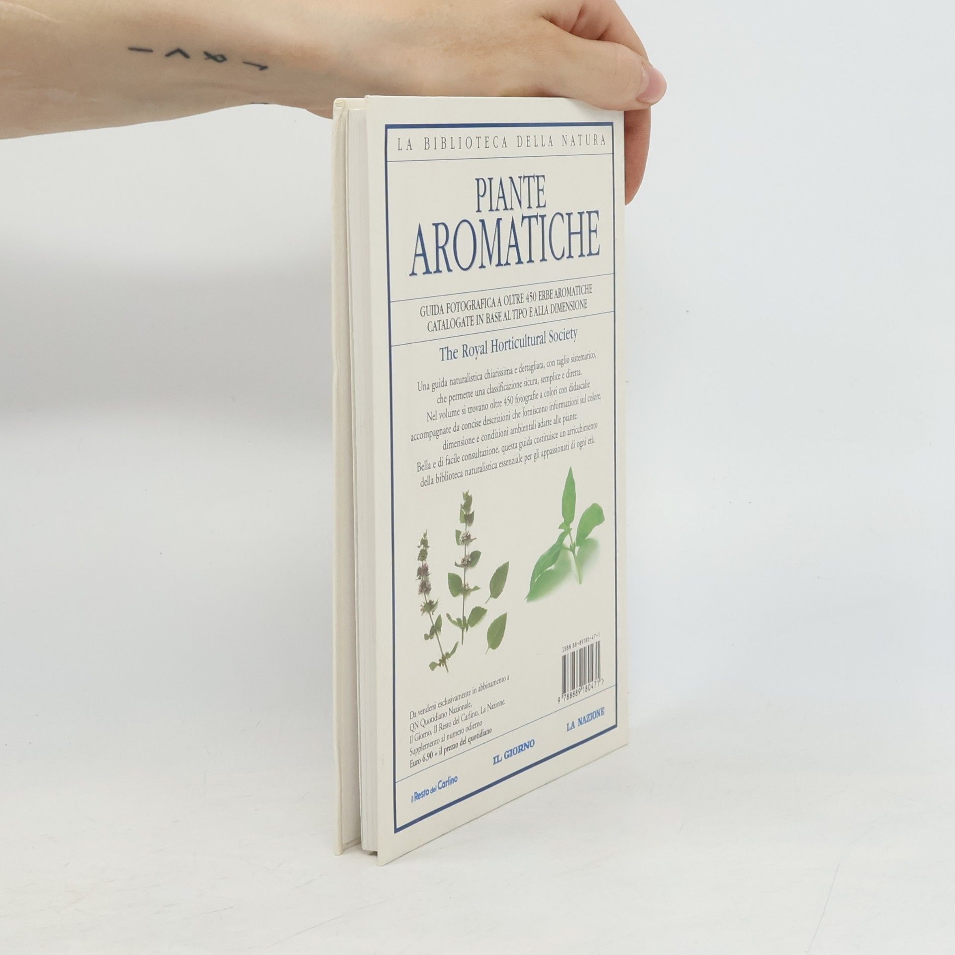Deni Bown Piante aromatiche