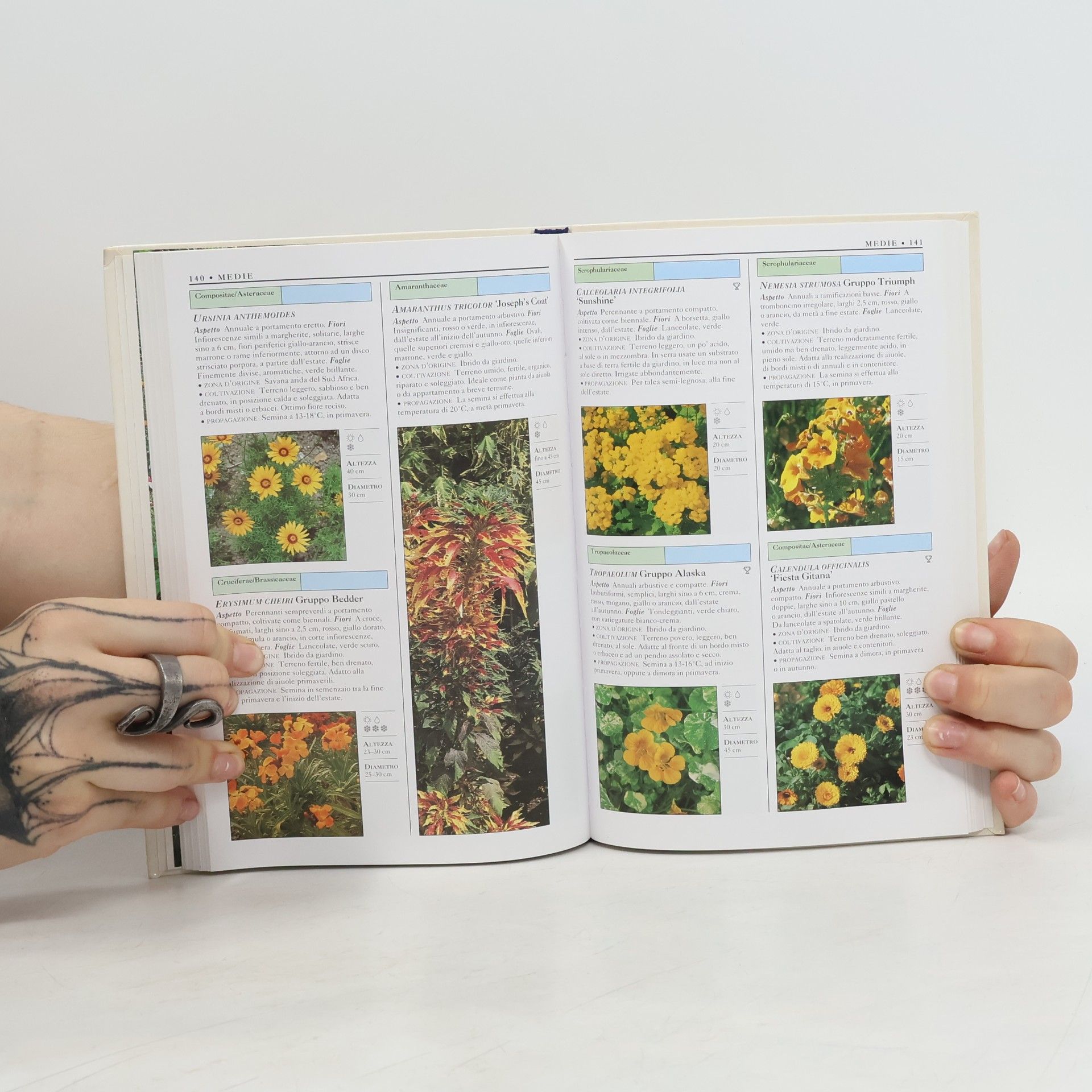 Royal Horticultural Society Annuali e Biennali