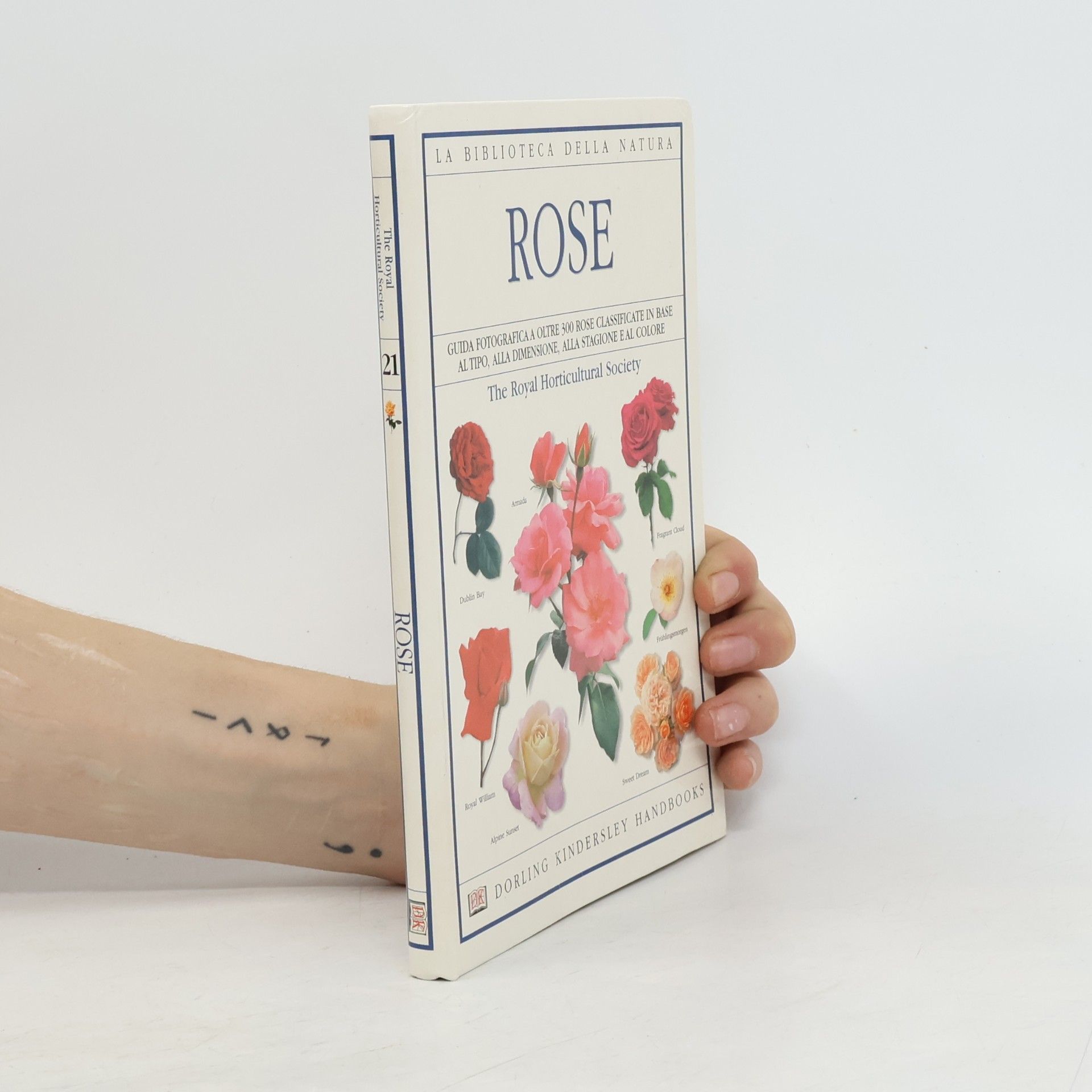 Rose