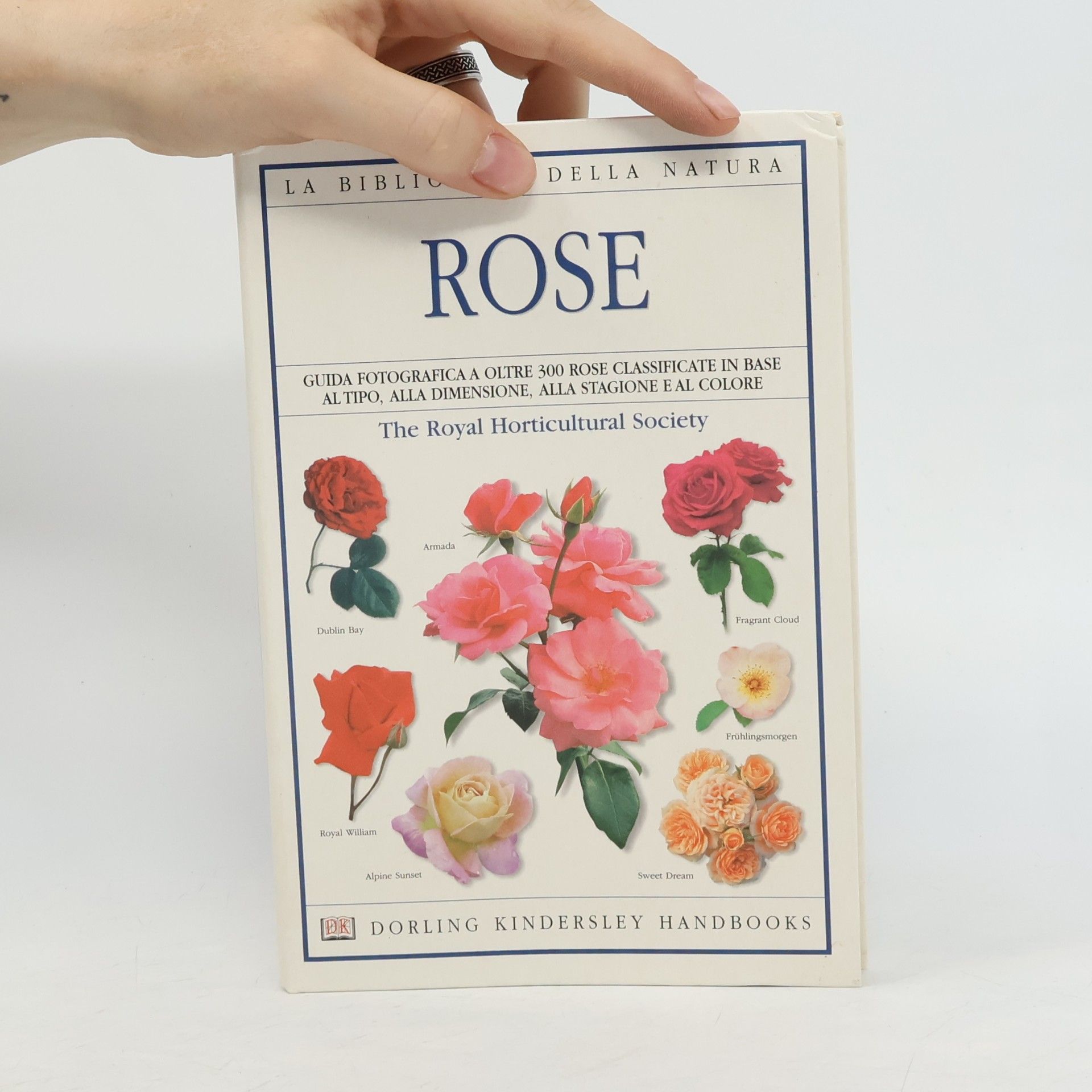 Royal Horticultural Society Rose