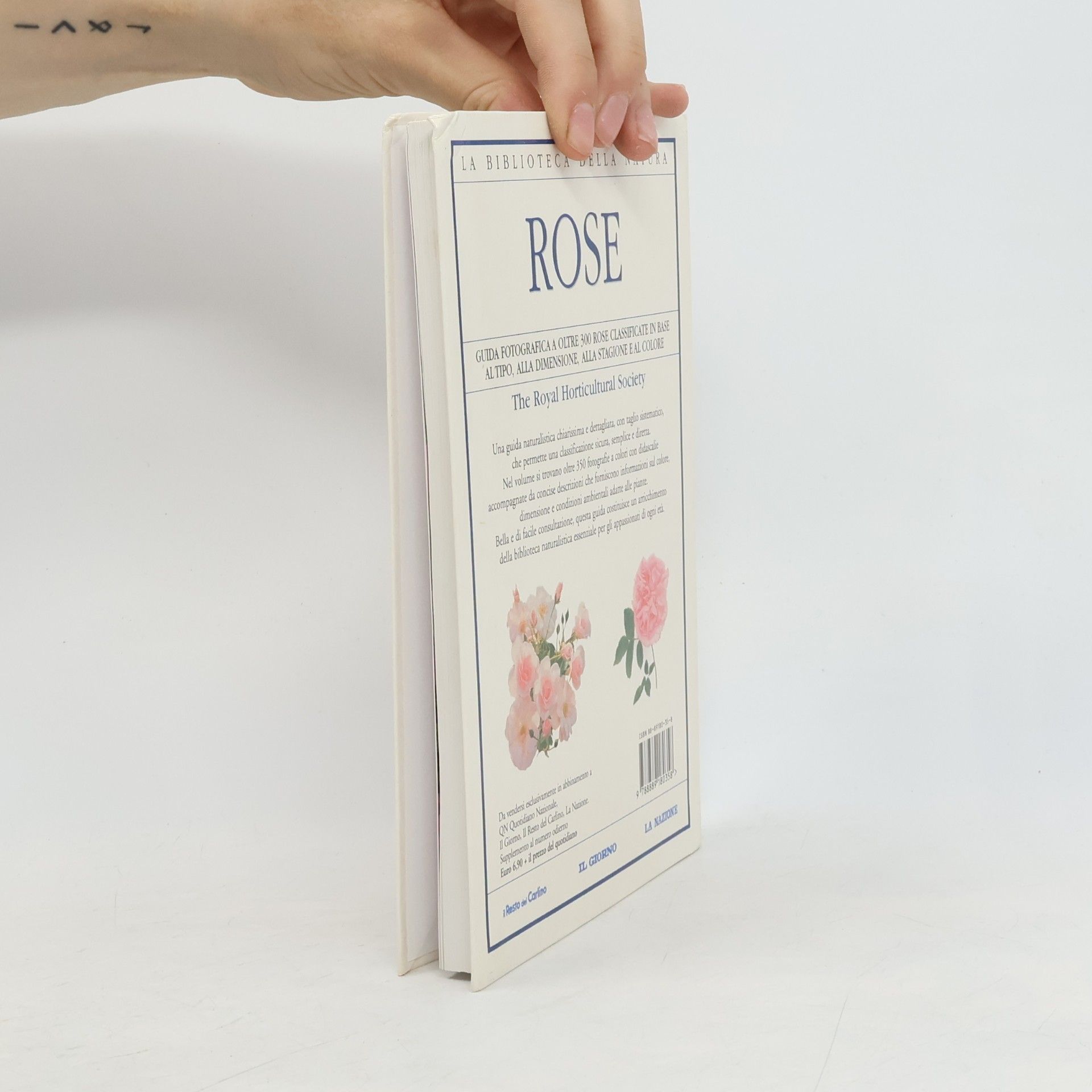 Royal Horticultural Society Rose
