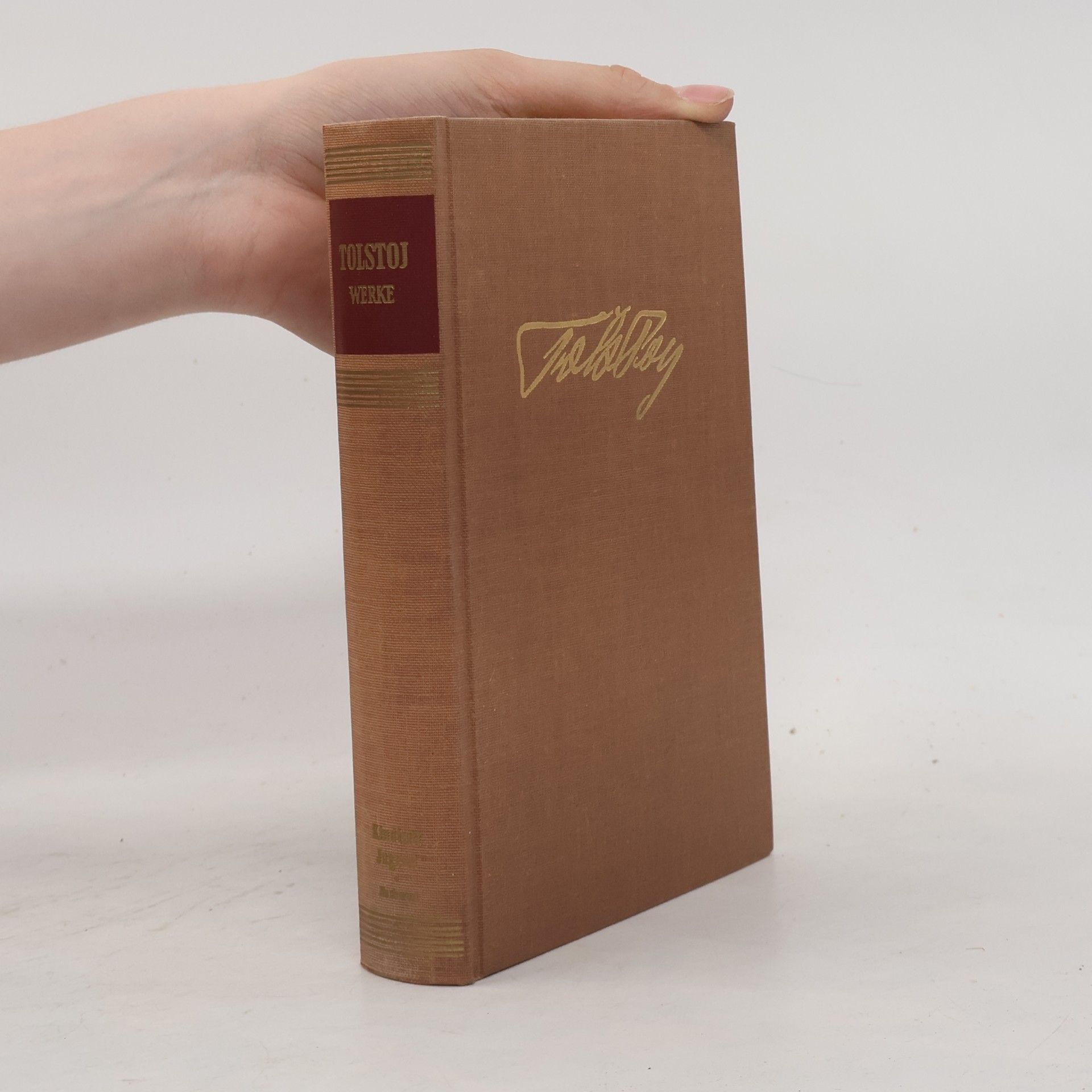 Lew Nikolajewitsch Tolstoi Kindheit, Knabenjahre, Jugendzeit