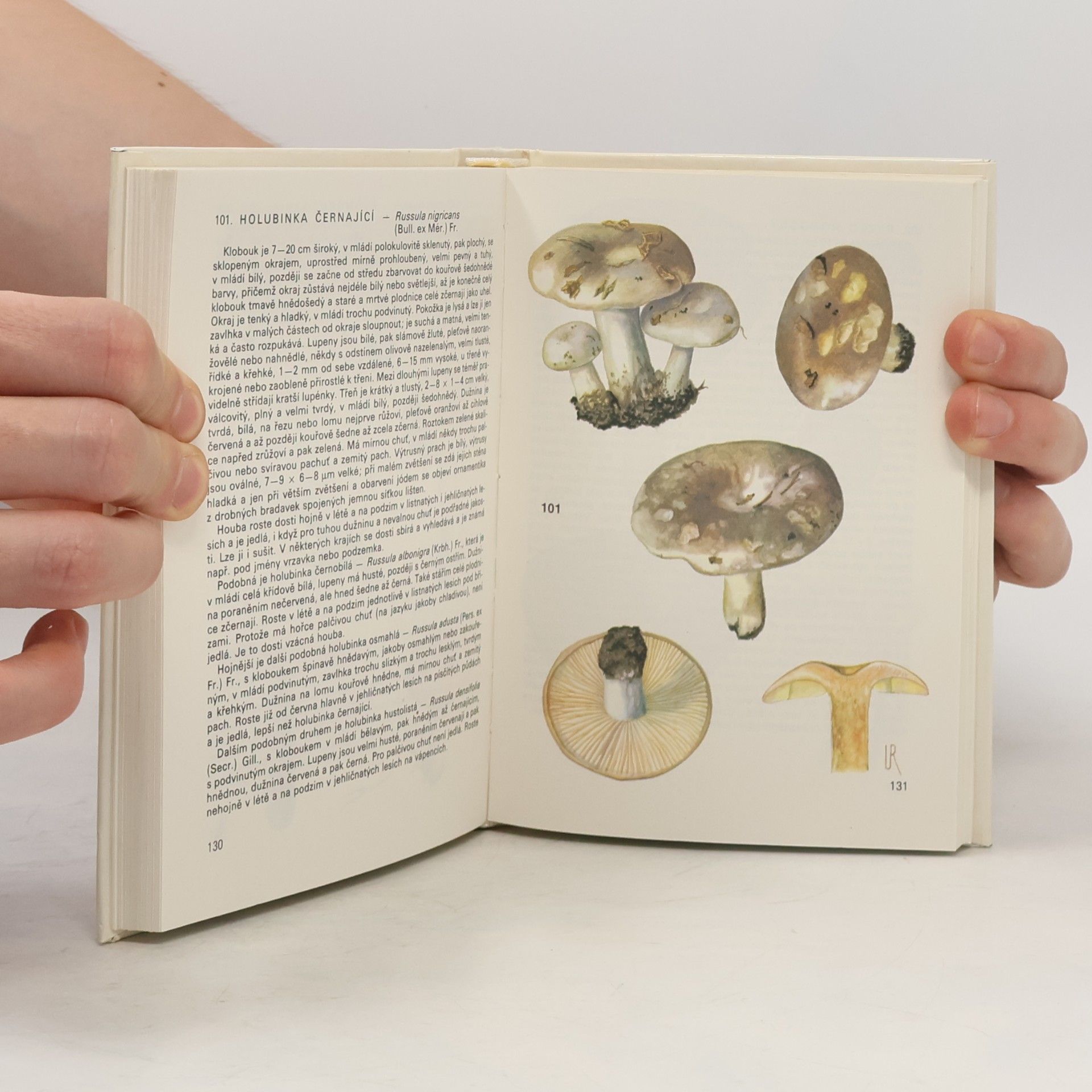 Antonín Příhoda Kapesní atlas hub 2