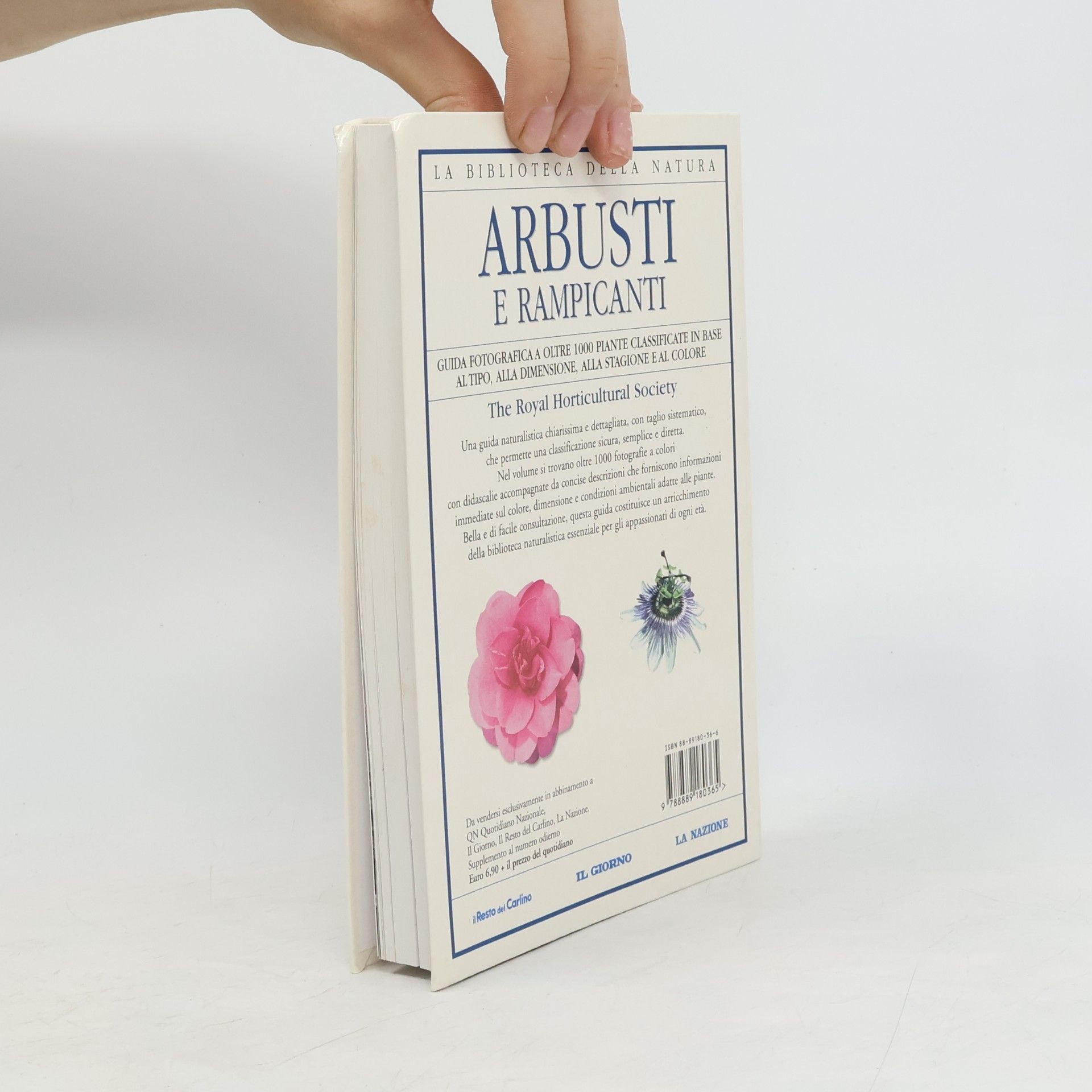 Collectif d'auteurs Arbusti e rampicanti