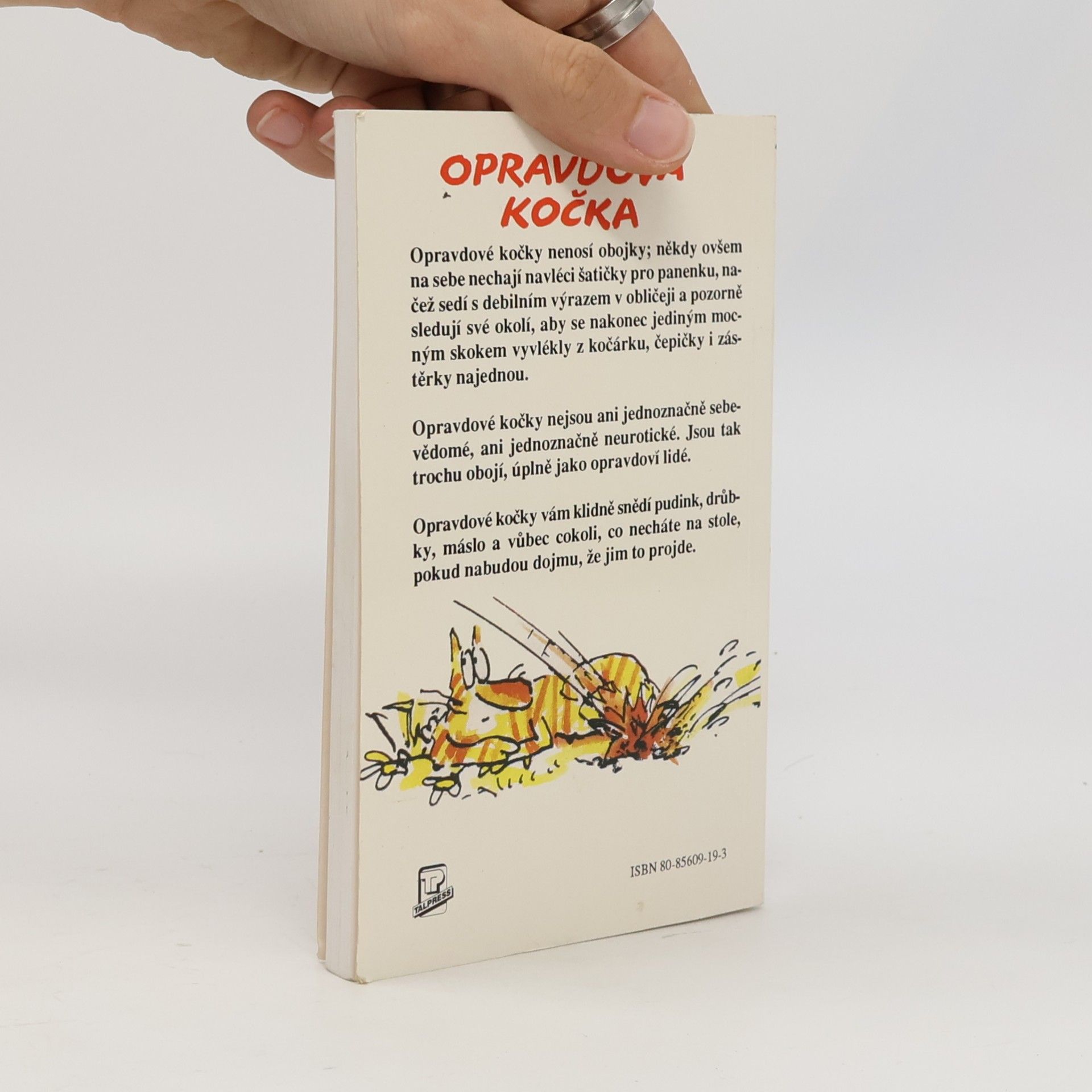 Terry Pratchett Nefalšovaná kočka