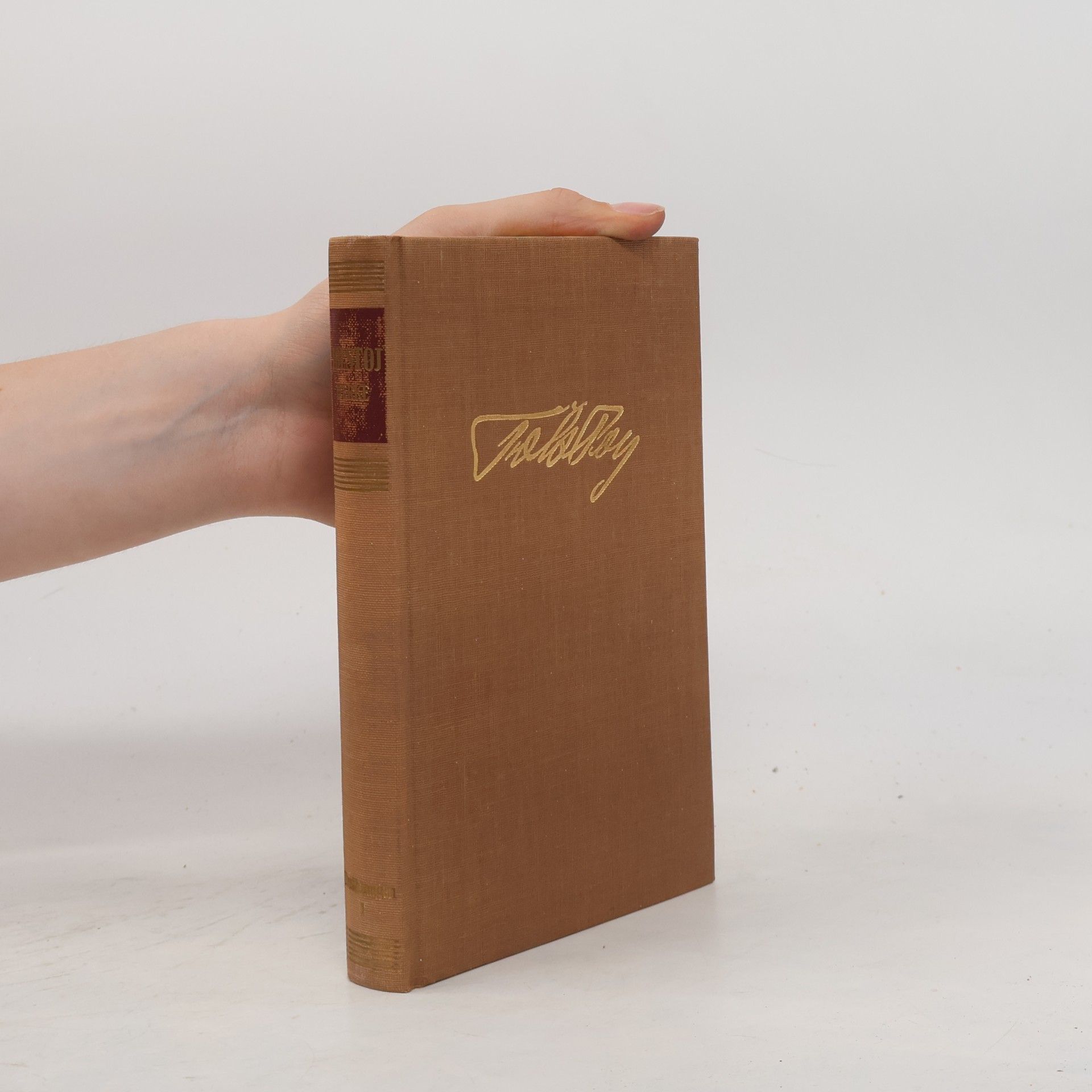 Lev Nikolajevič Tolstoj Erzählungen