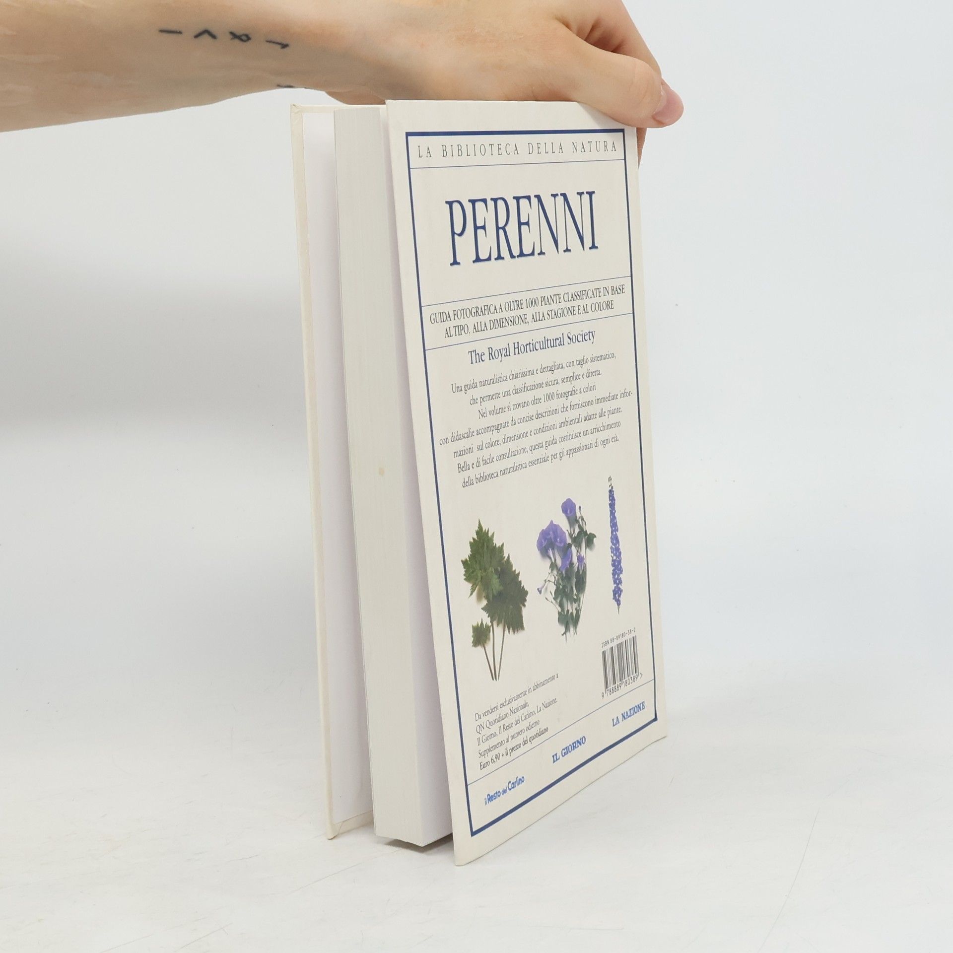 Collectif d'auteurs Perenni 24