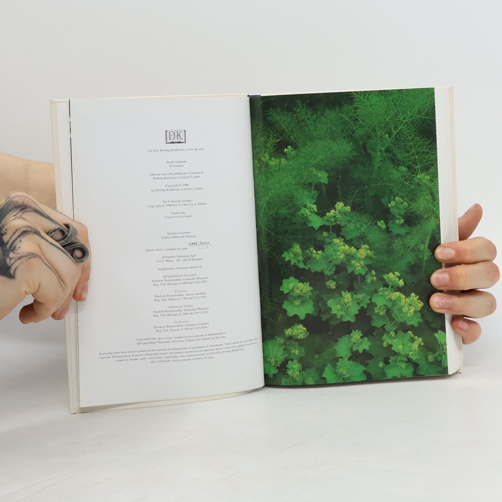 Collectif d'auteurs Perenni 24