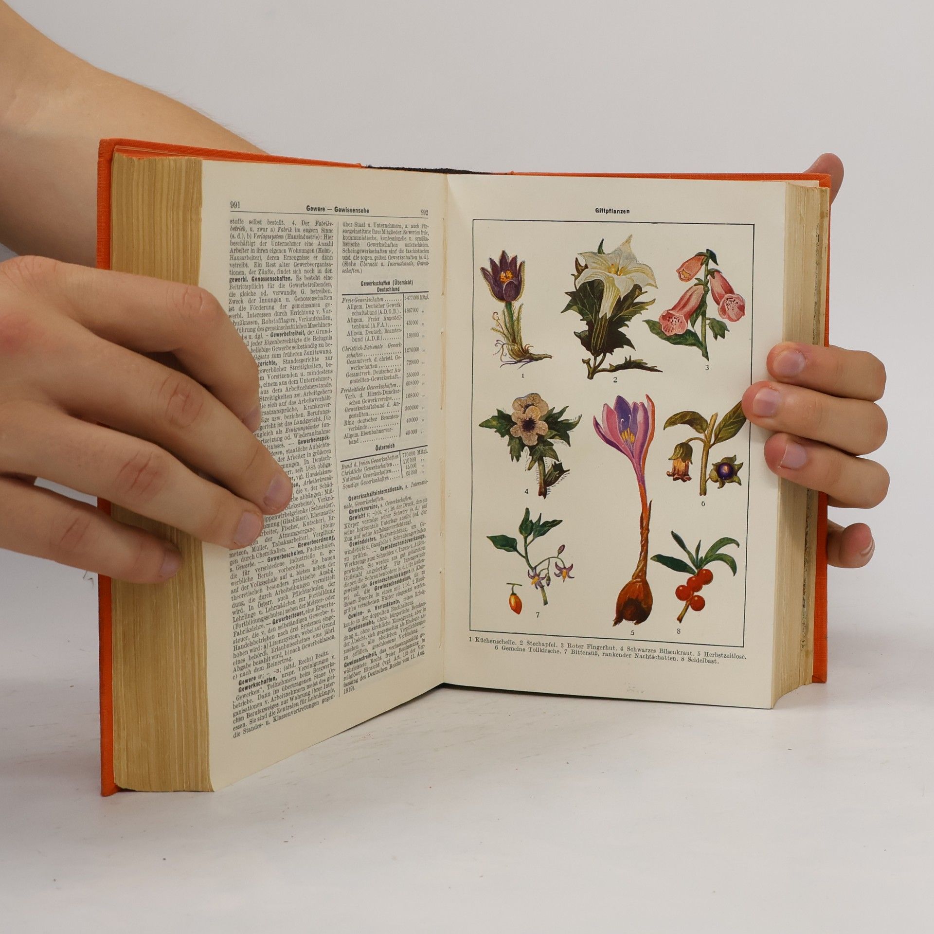 Kolektiv autorů Beckmanns Welt-Lexikon und Weltatlas A-Z