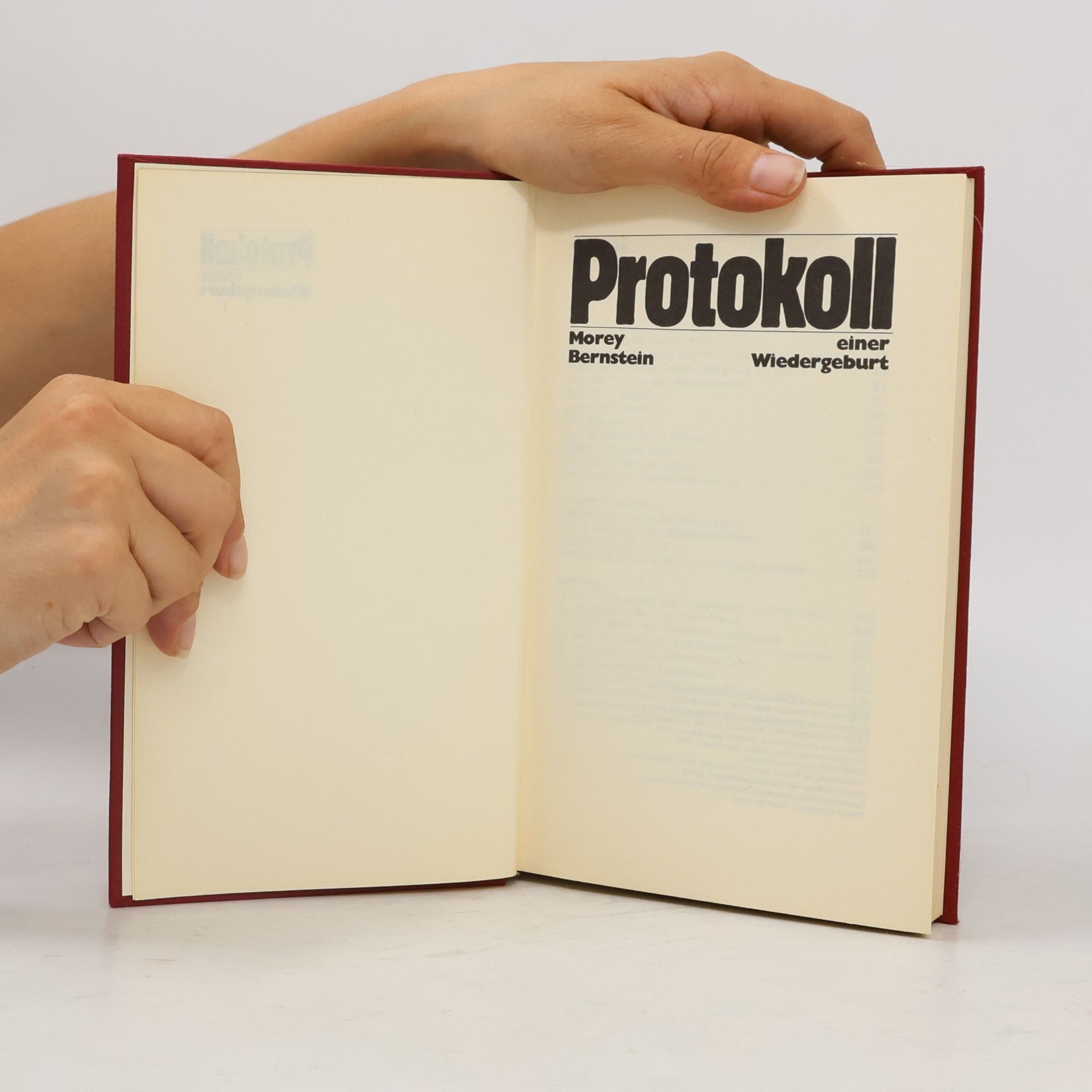 Morey Bernstein Protokoll einer Wiedergeburt